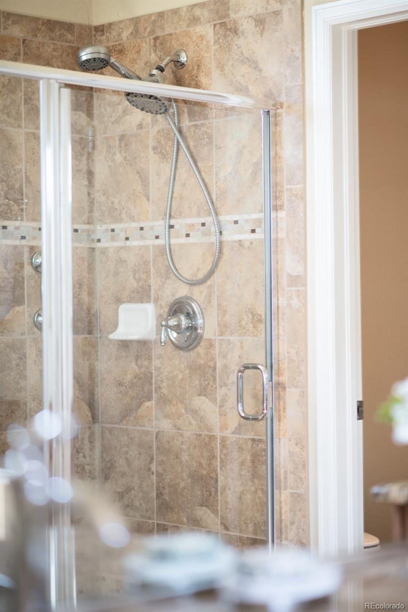 4519 Silver Mountain Loop