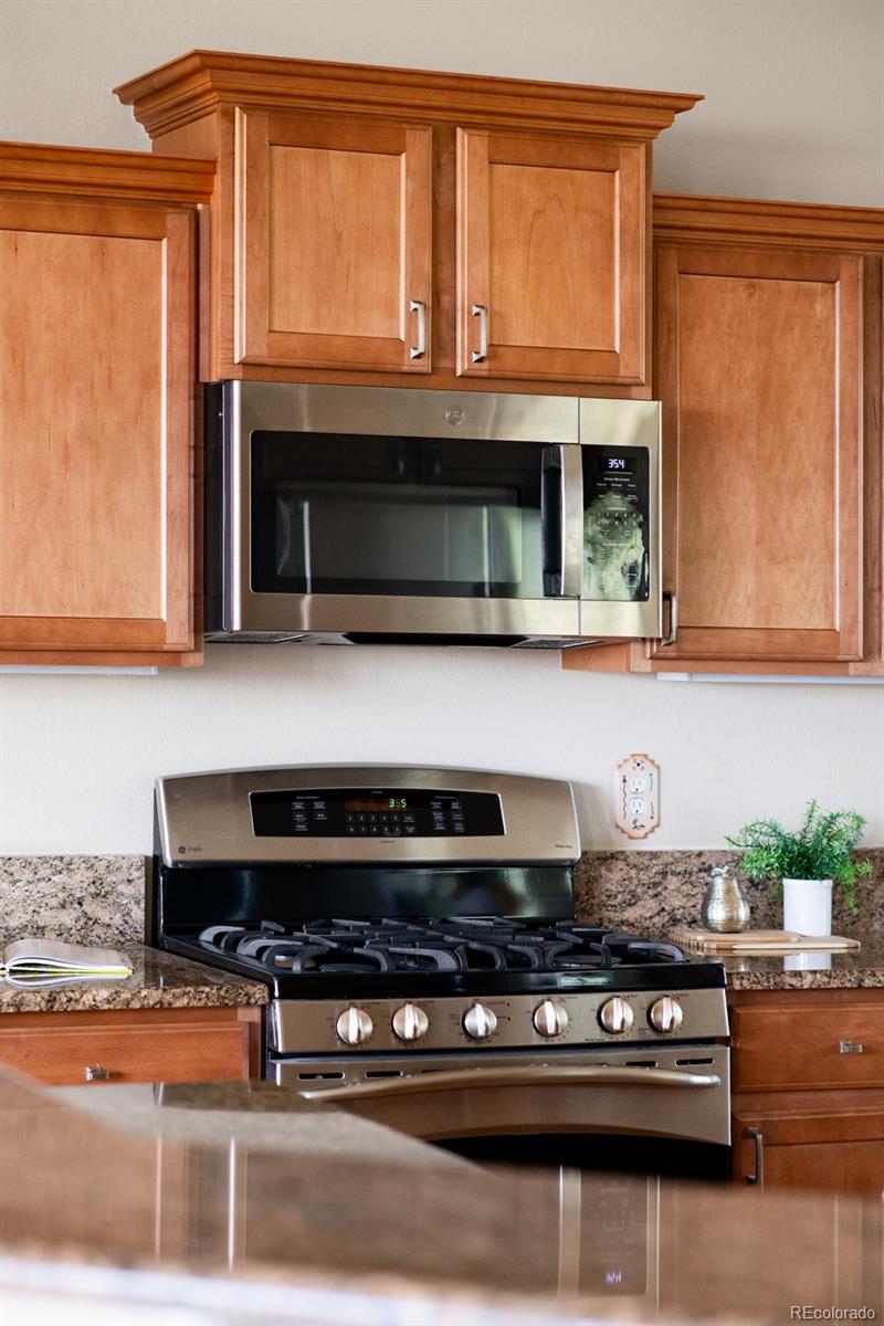4519 Silver Mountain Loop
