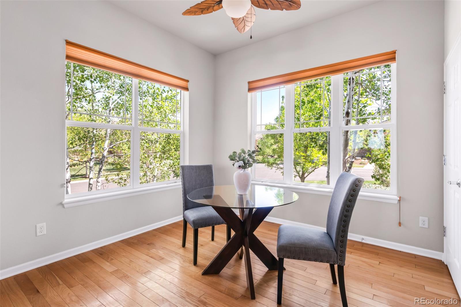 4519 Silver Mountain Loop