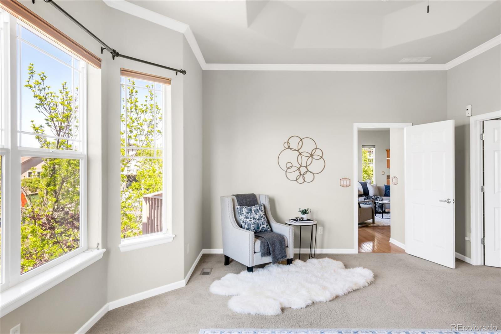 4519 Silver Mountain Loop