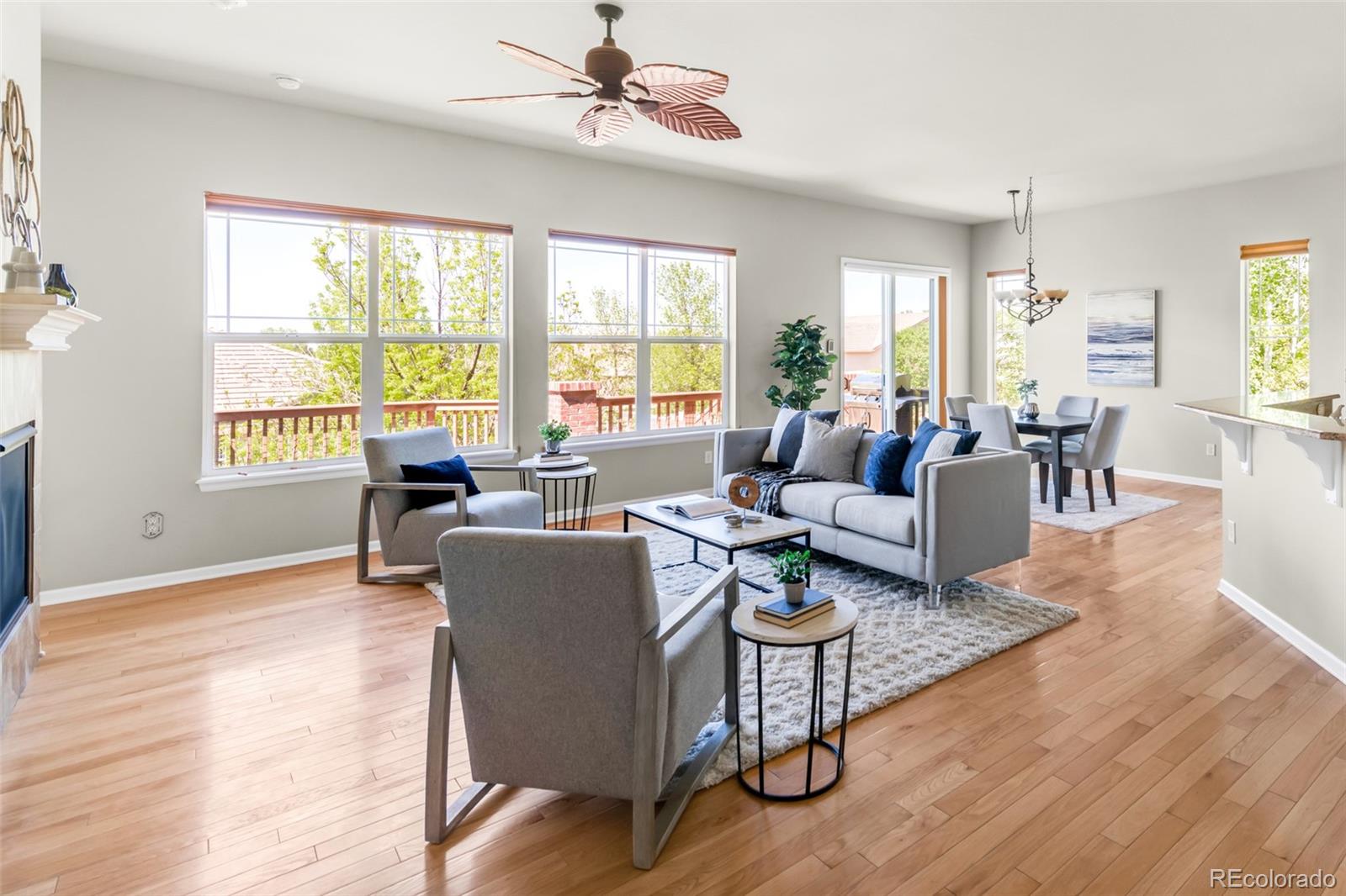 4519 Silver Mountain Loop