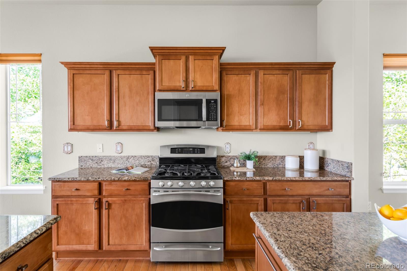 4519 Silver Mountain Loop
