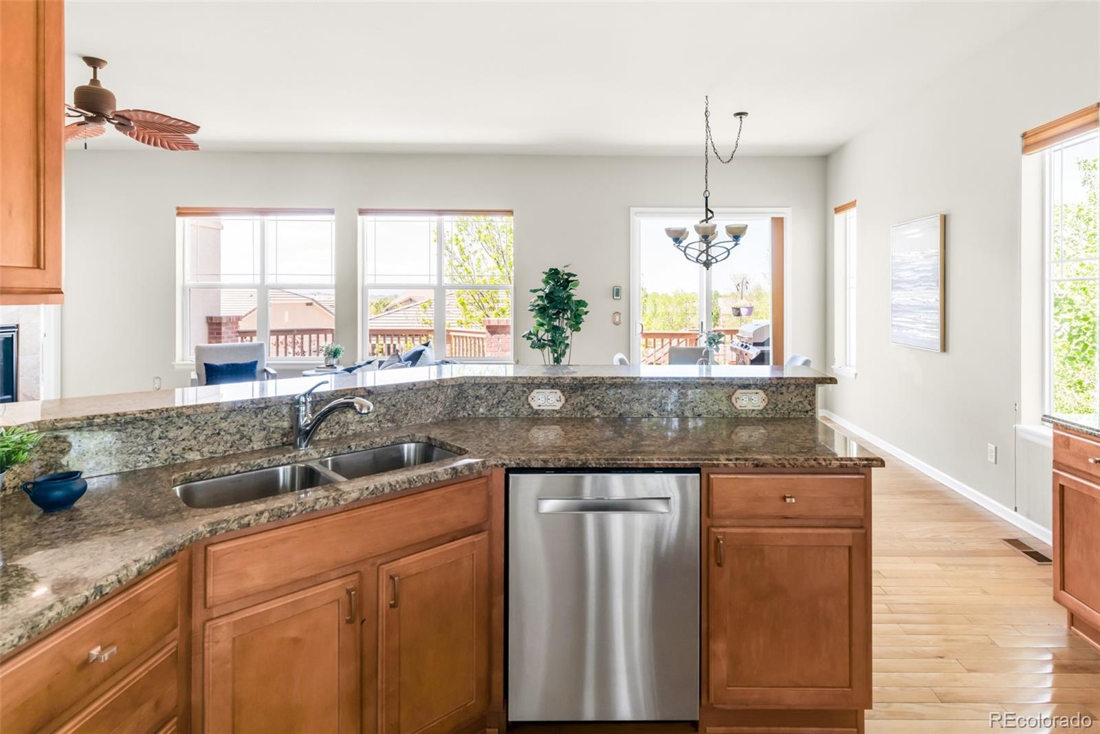 4519 Silver Mountain Loop