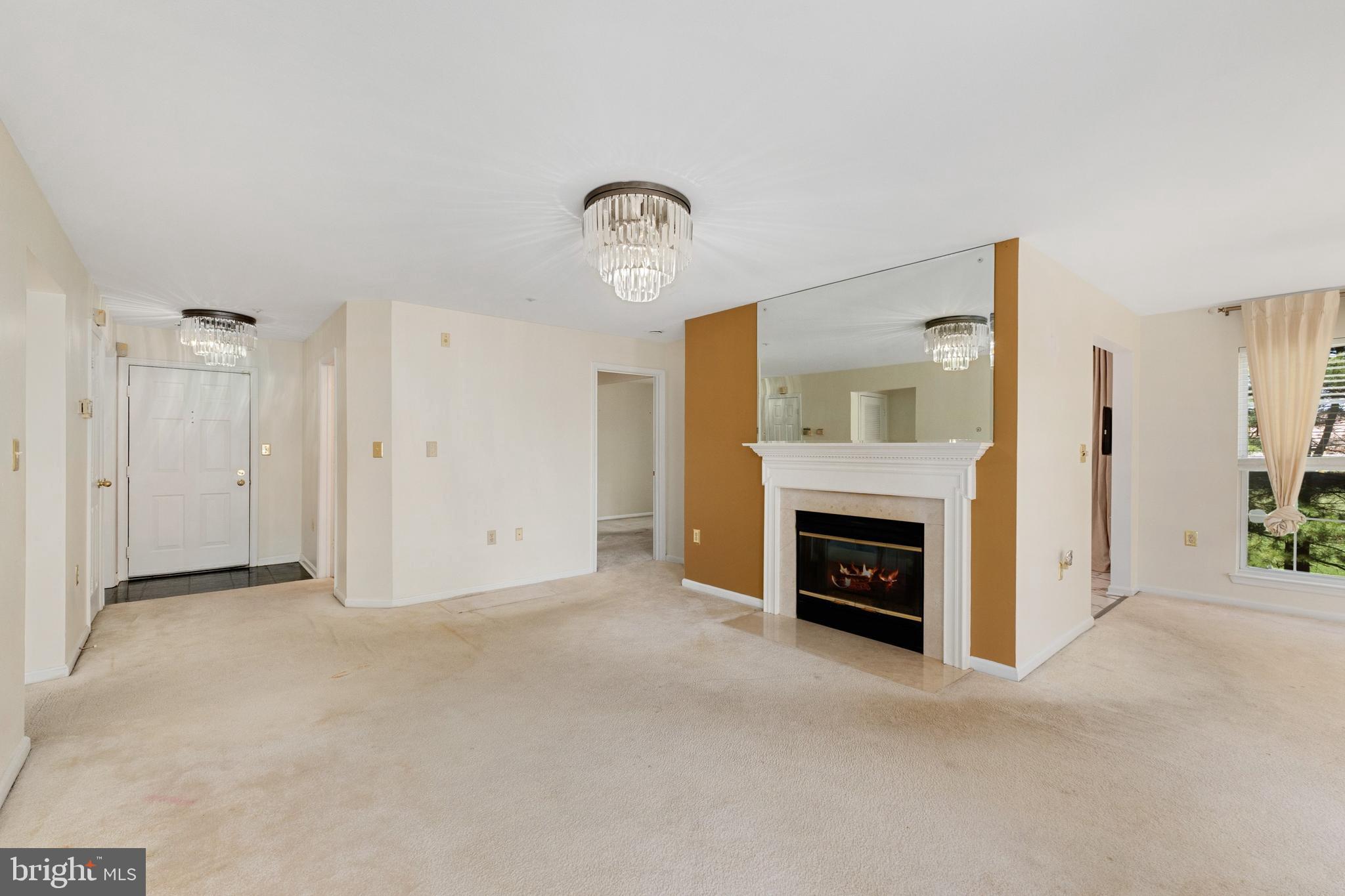 5921 MILLRACE COURT I-203