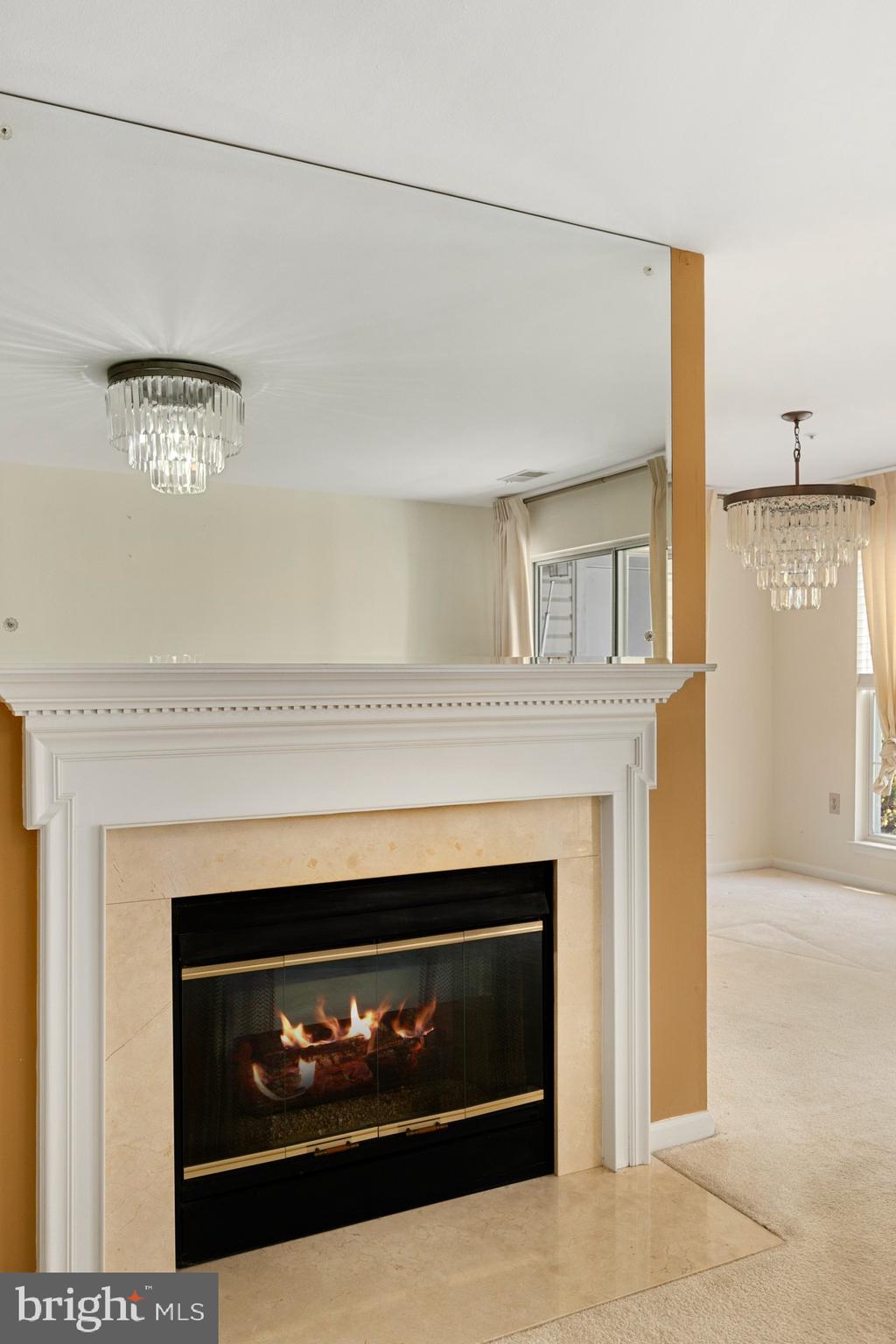 5921 MILLRACE COURT I-203