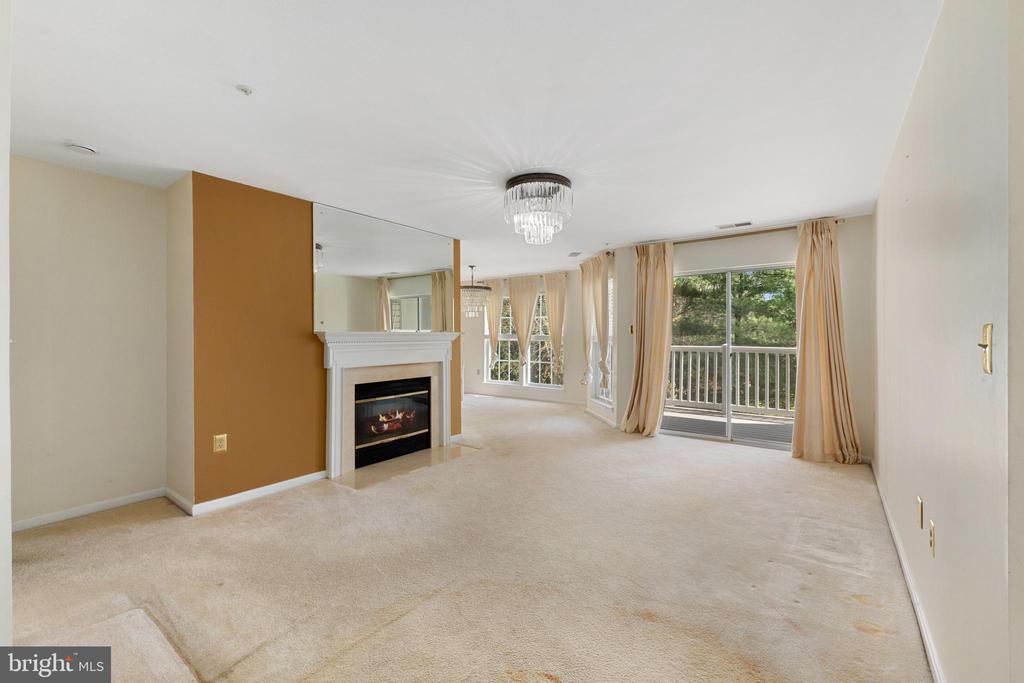 5921 MILLRACE COURT I-203