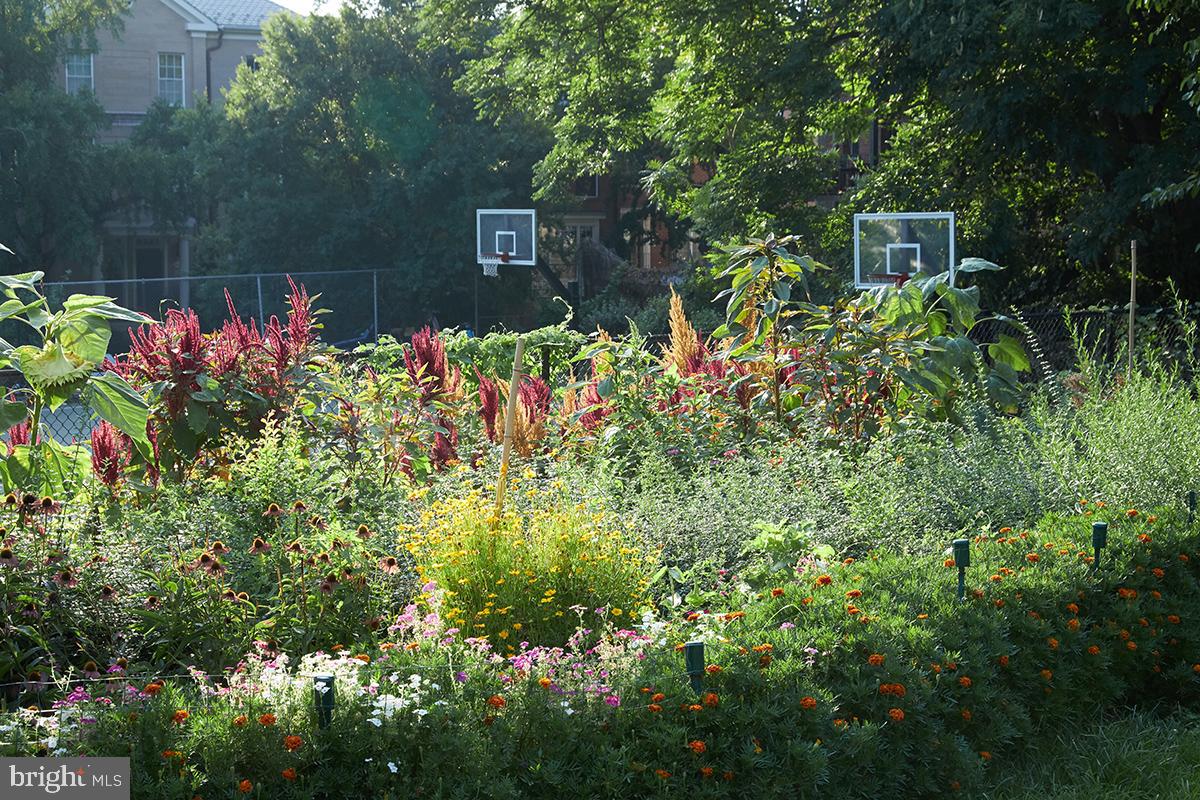 2853 Ontario Road NW Unit: 507