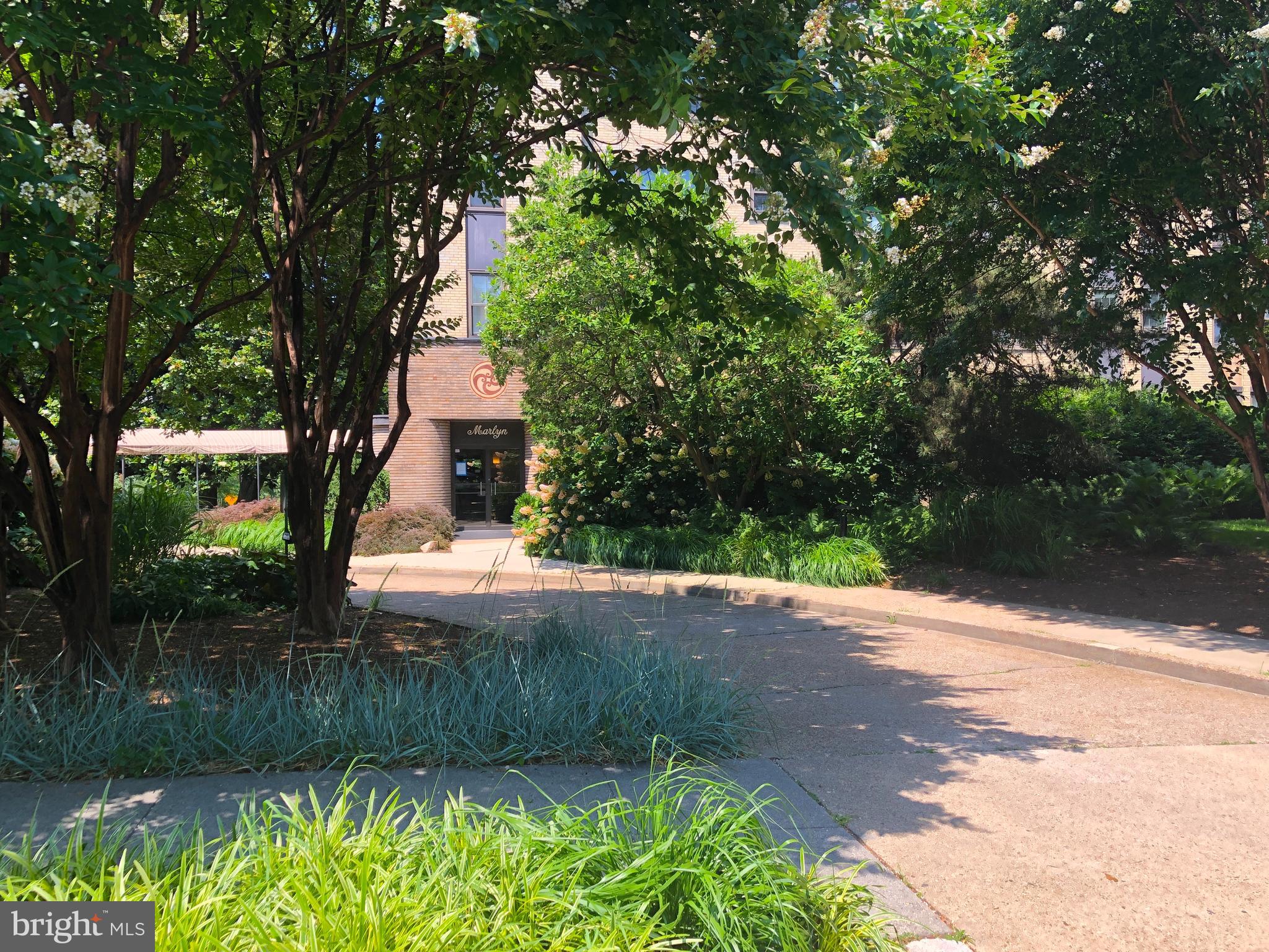 3901 Cathedral Ave NW #311