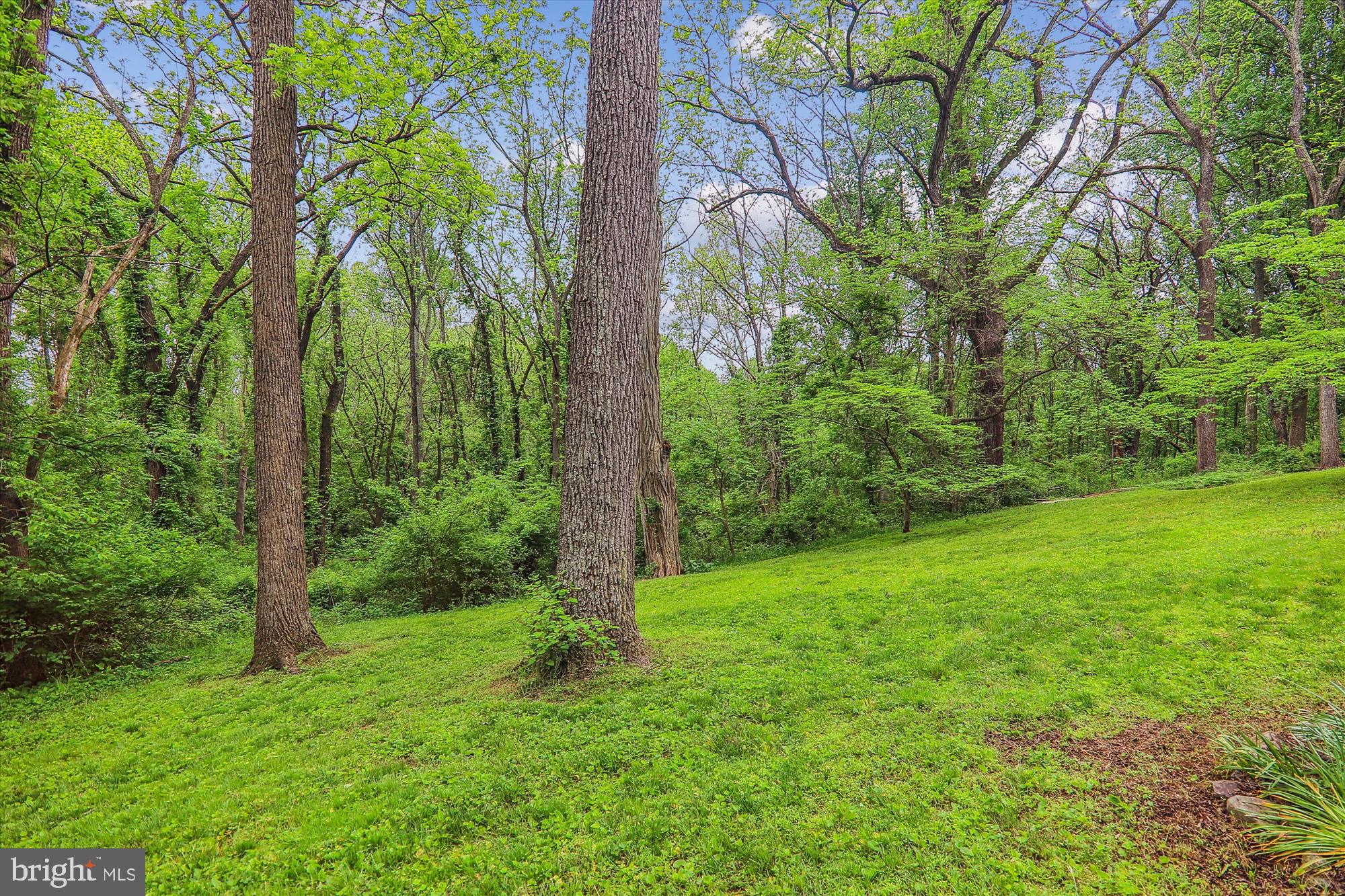 1820 Tucker Lane