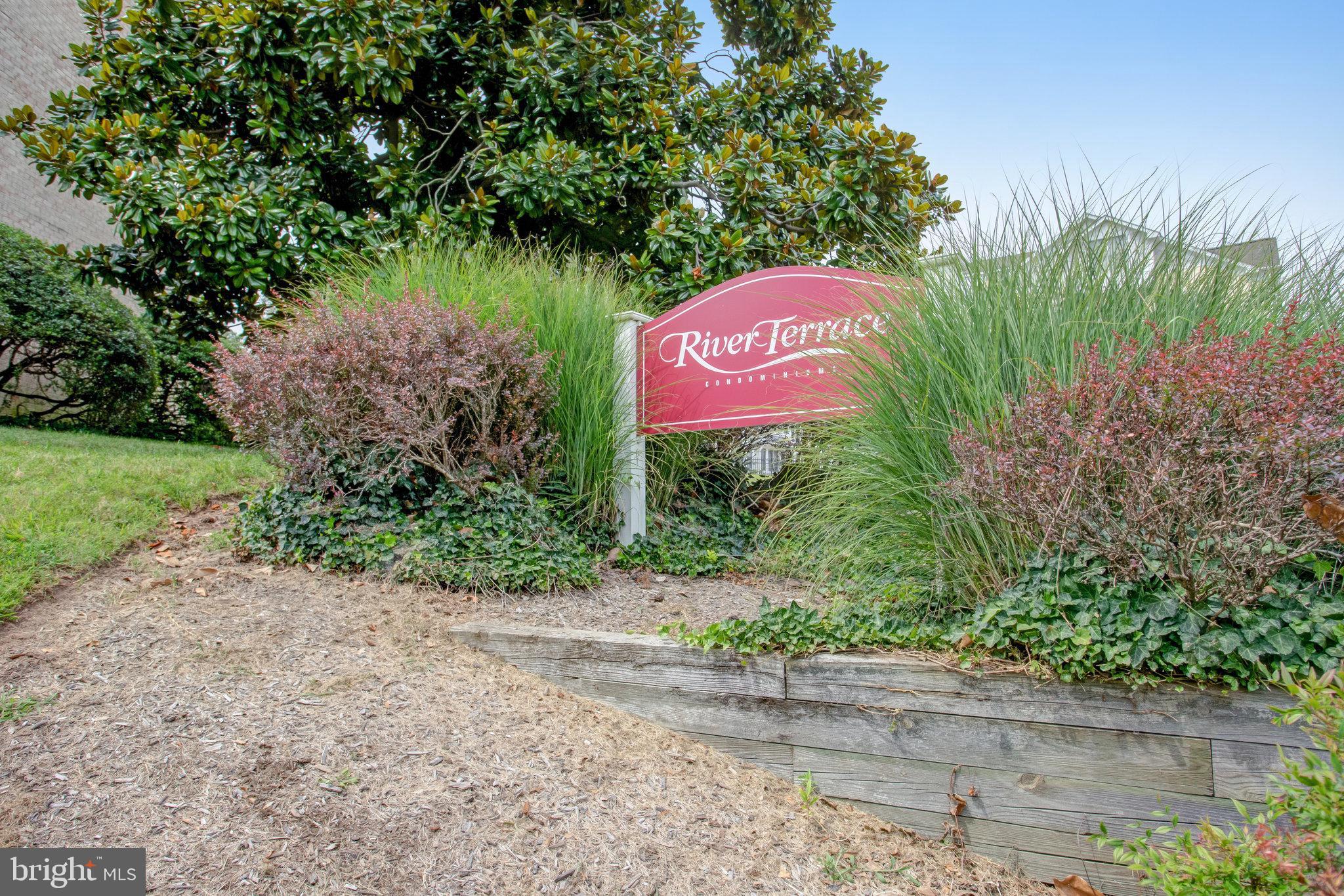 1521 Colonial Drive Unit: 203