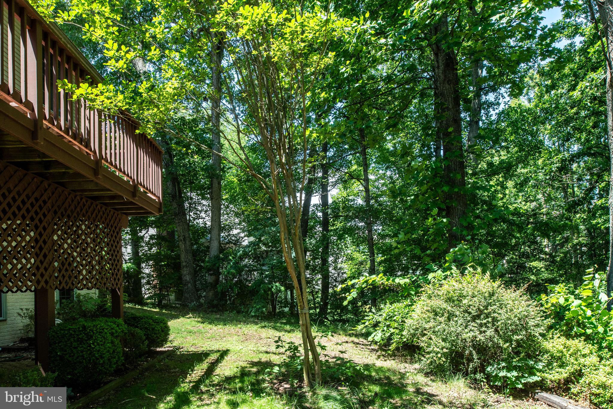 7 Lynchester Dr