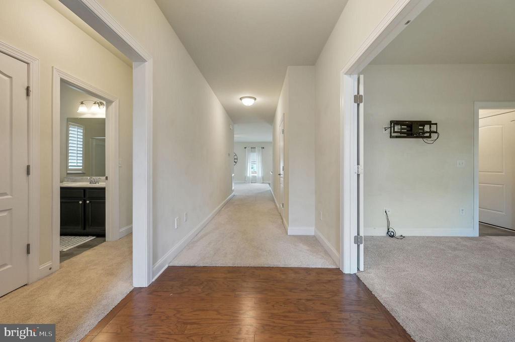 306 HORSE TRAIL LANE