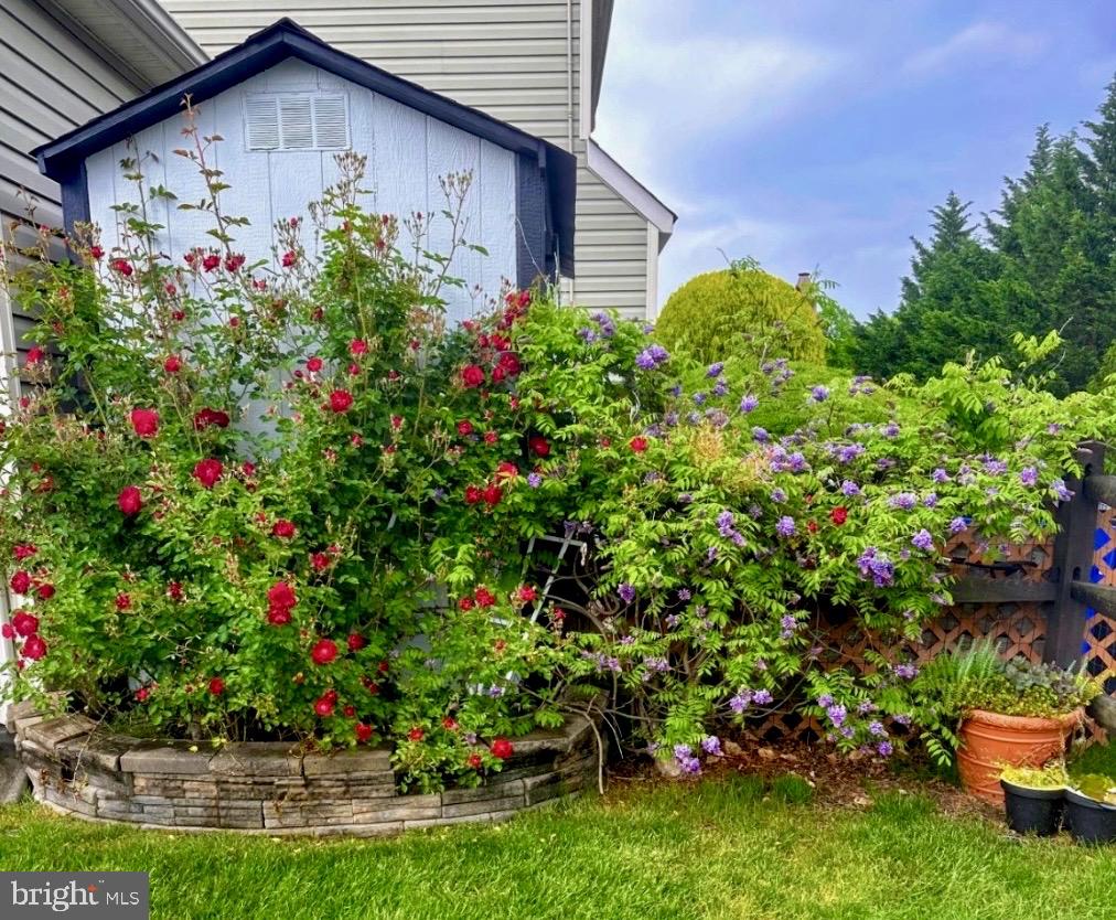 11 BUTTONWOOD COURT