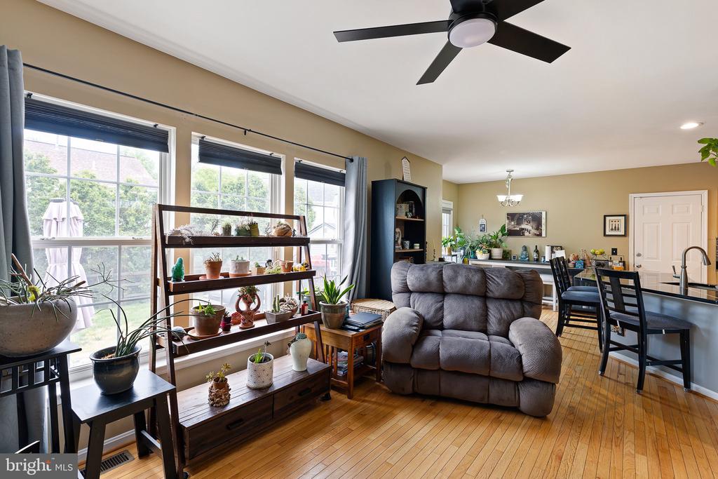 11 BUTTONWOOD COURT