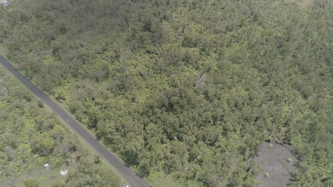 HIBISCUS ST Lot 7448