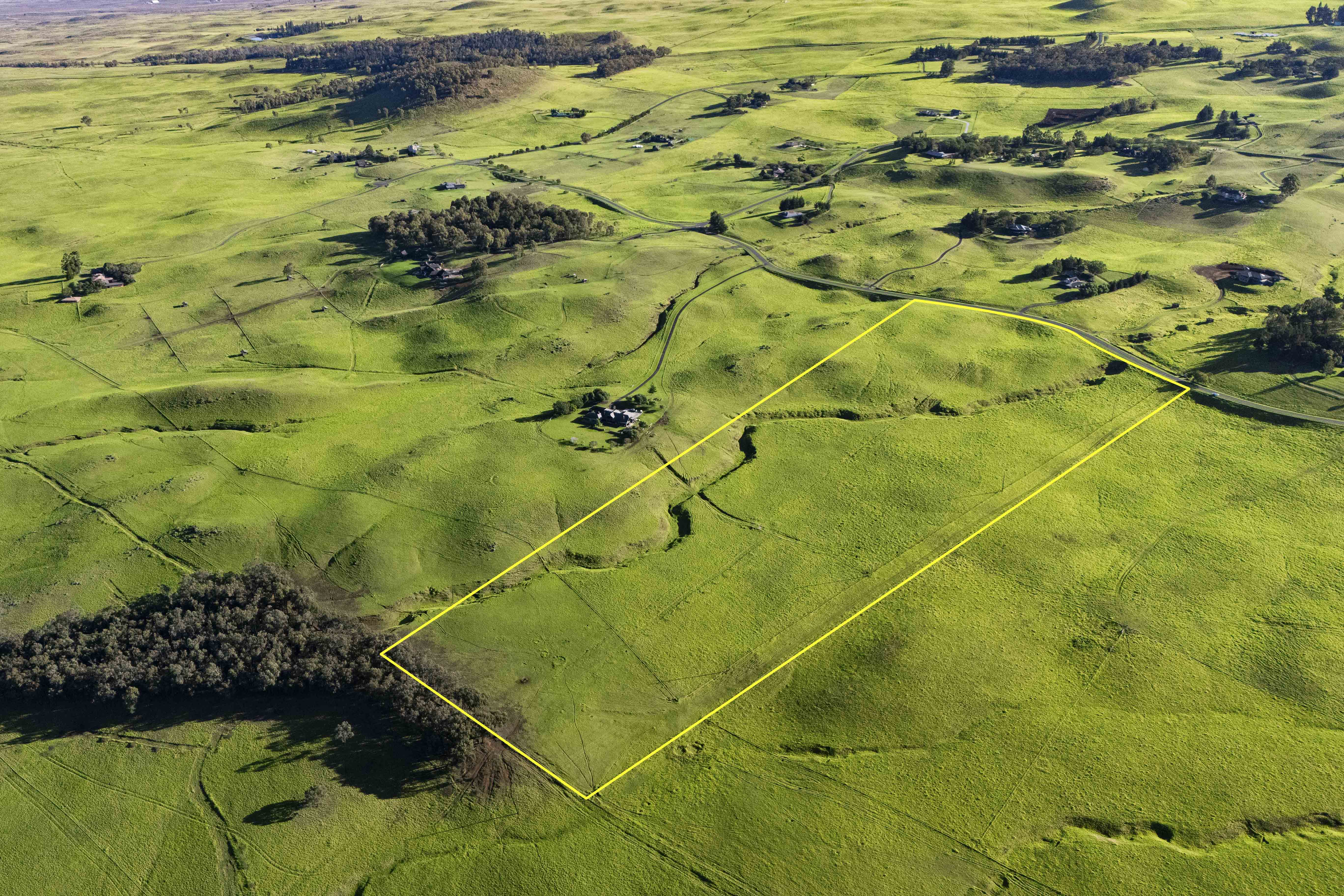 Kamuela