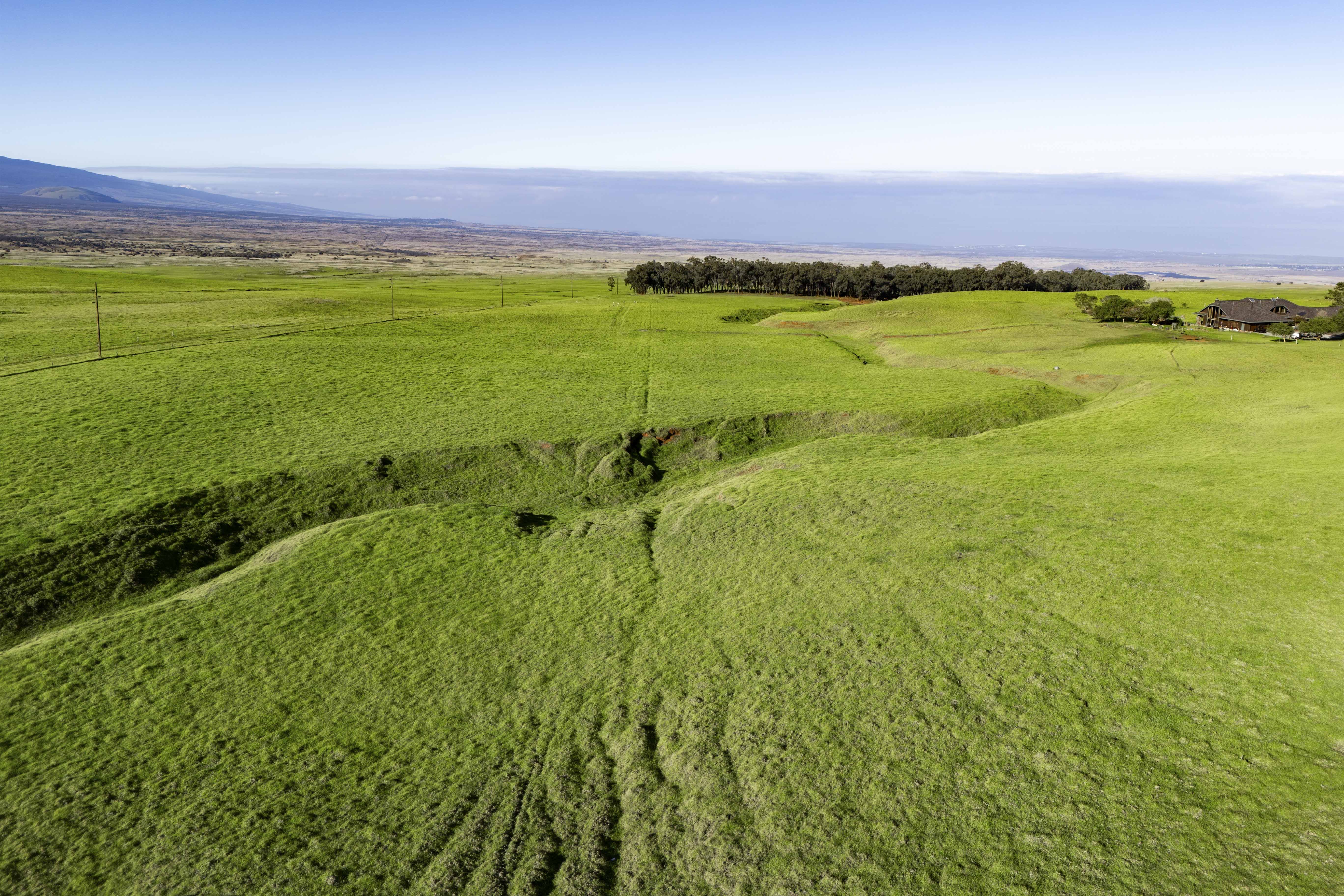 Kamuela