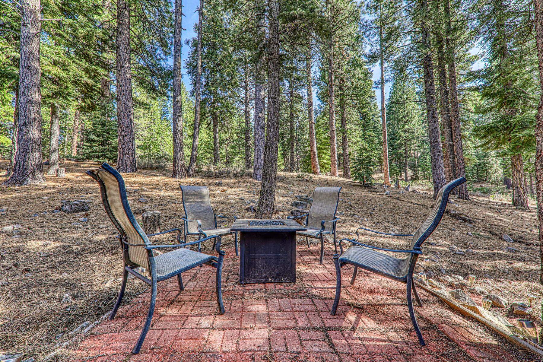 725 Conifer
