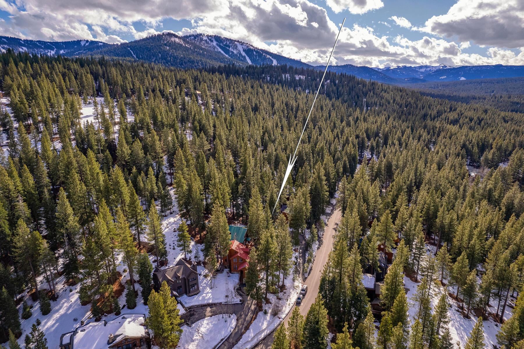 725 Conifer