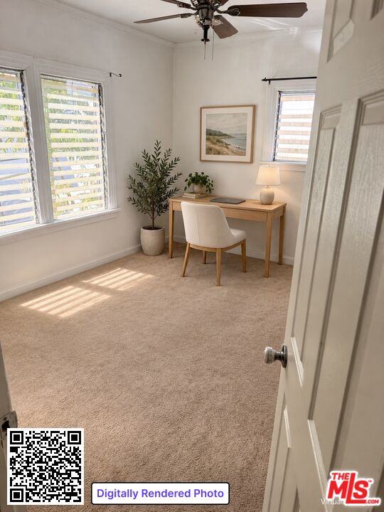 433 N Norton Ave