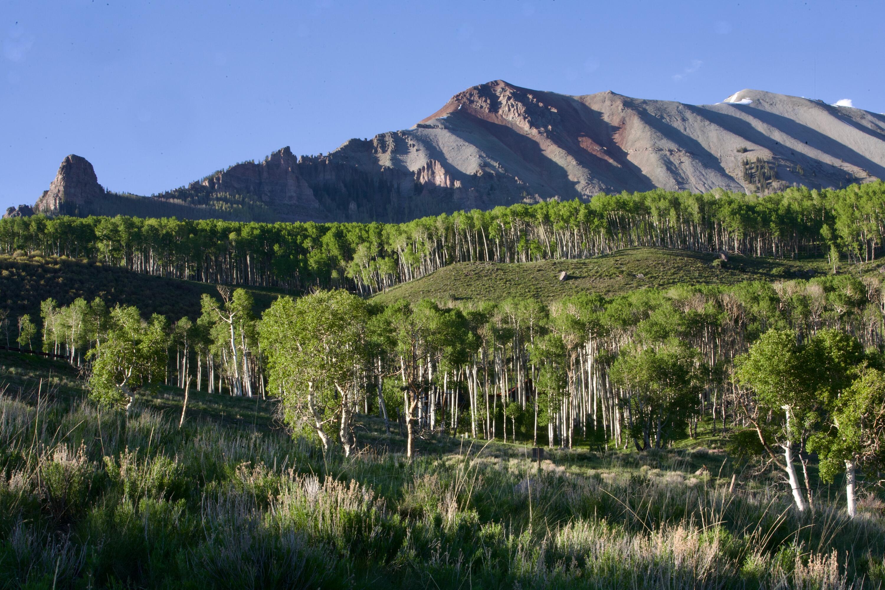 Lot 126 Aldasoro Ranch
