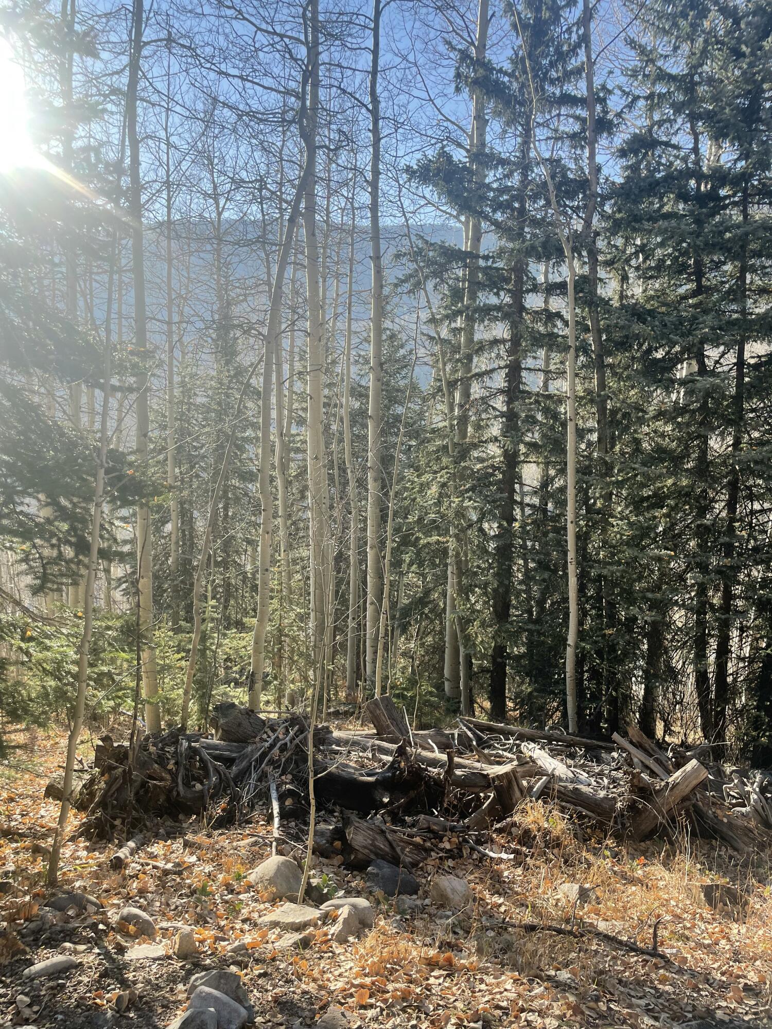 TBD S Silver Street Unit: Lots 5 & 6