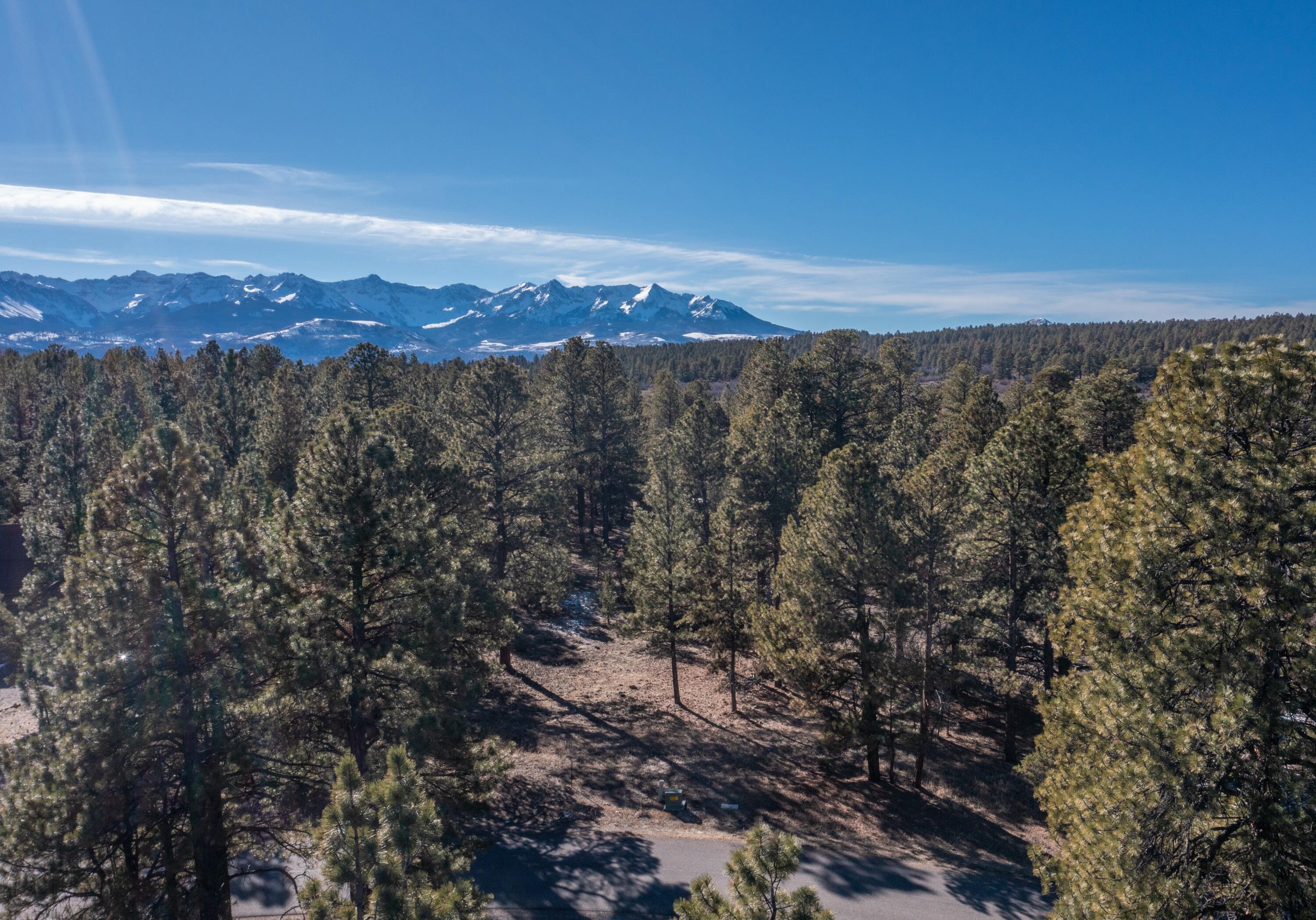 TBD S Badger Trail