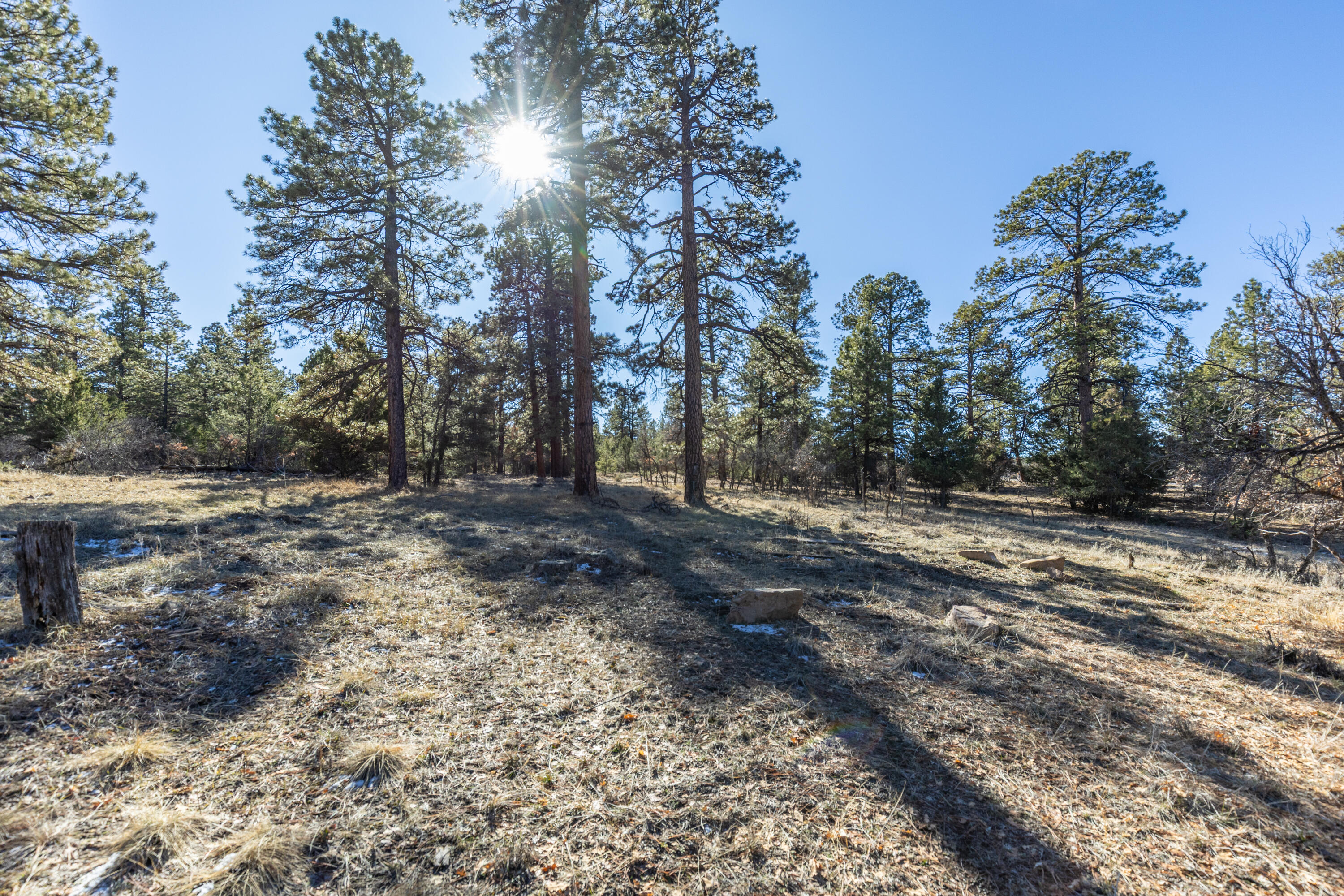TBD S Badger Trail