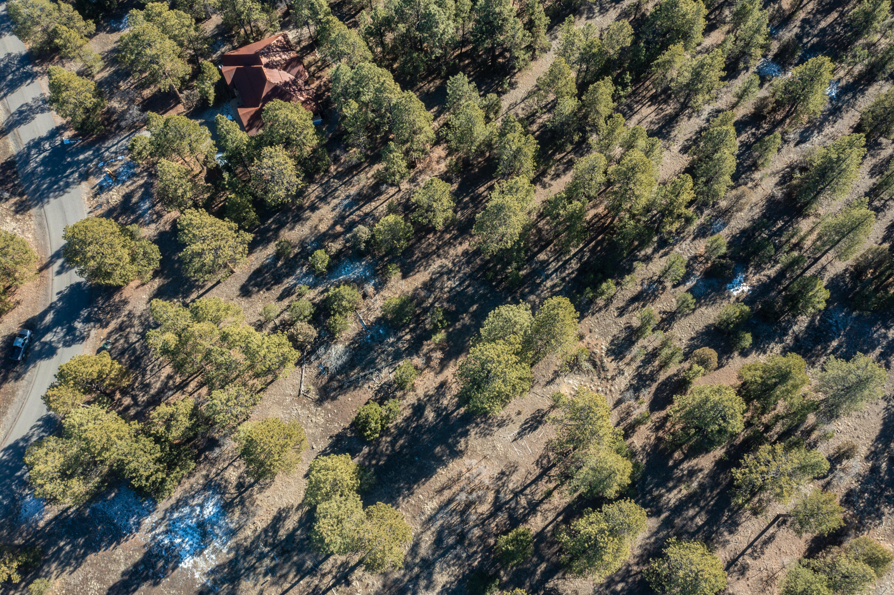 TBD S Badger Trail