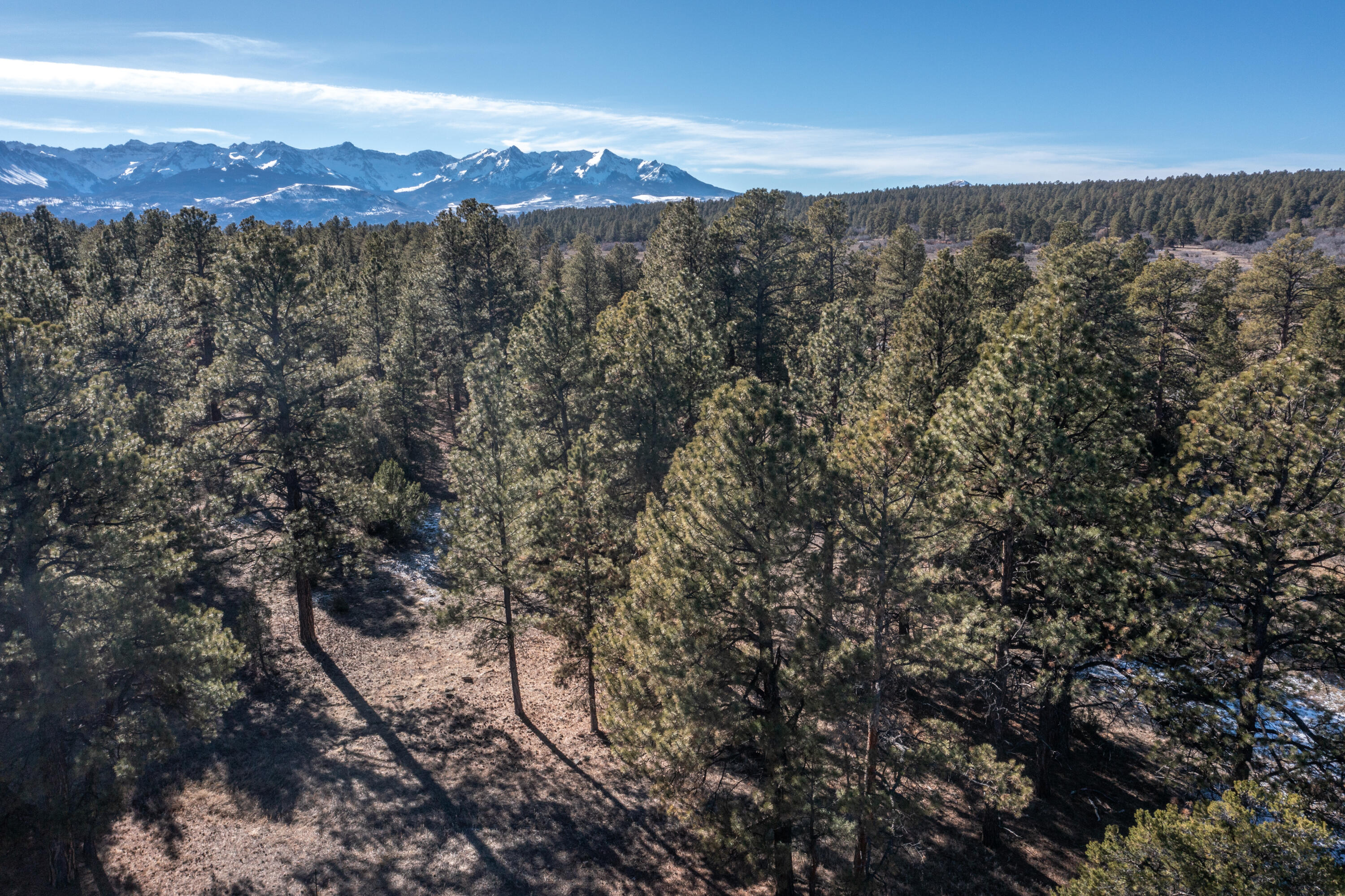 TBD S Badger Trail