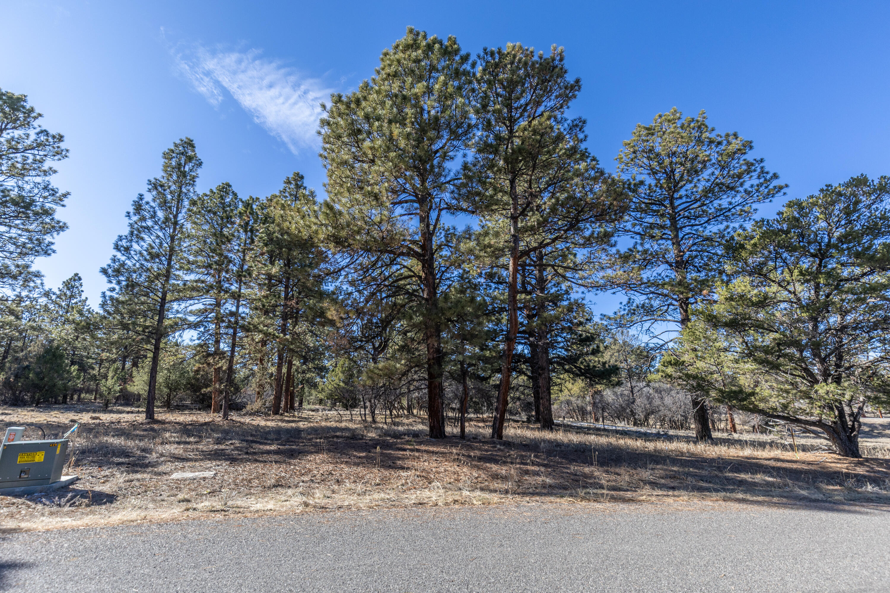 TBD S Badger Trail