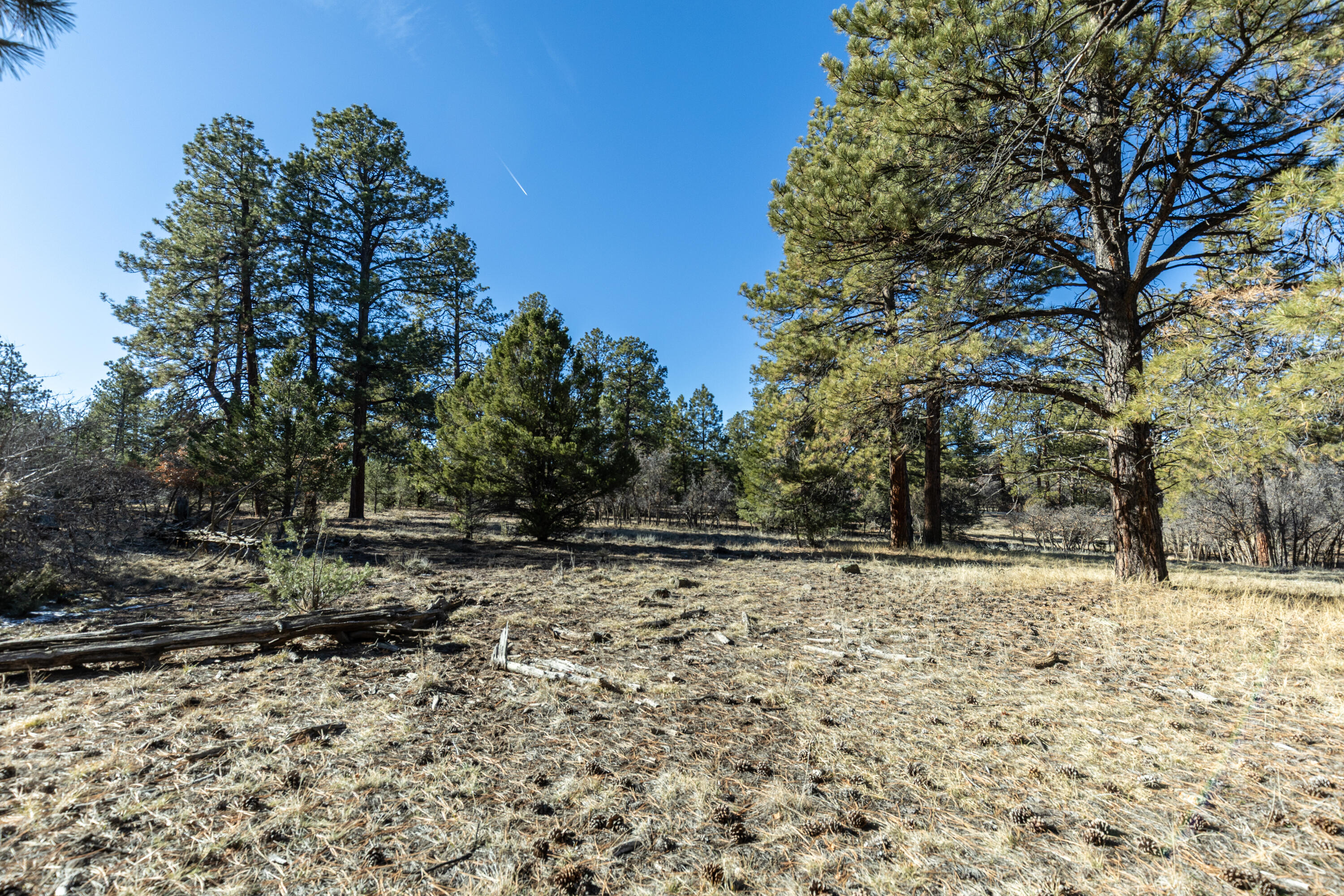TBD S Badger Trail