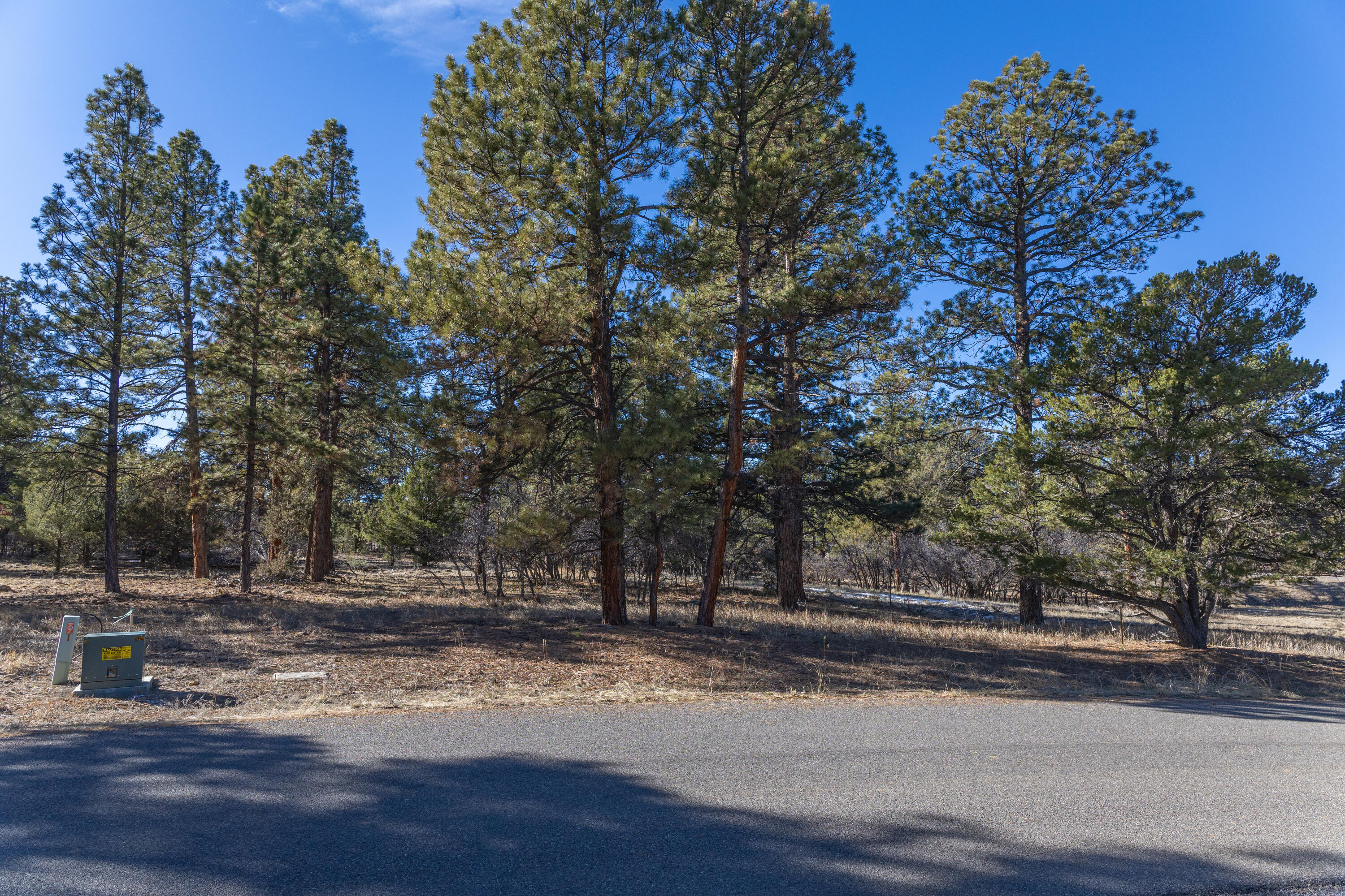 TBD S Badger Trail