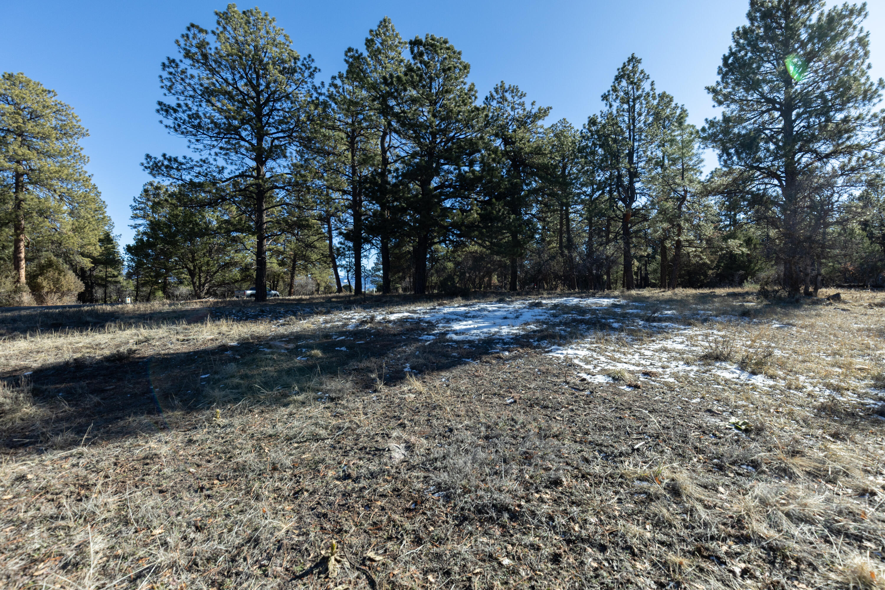 TBD S Badger Trail