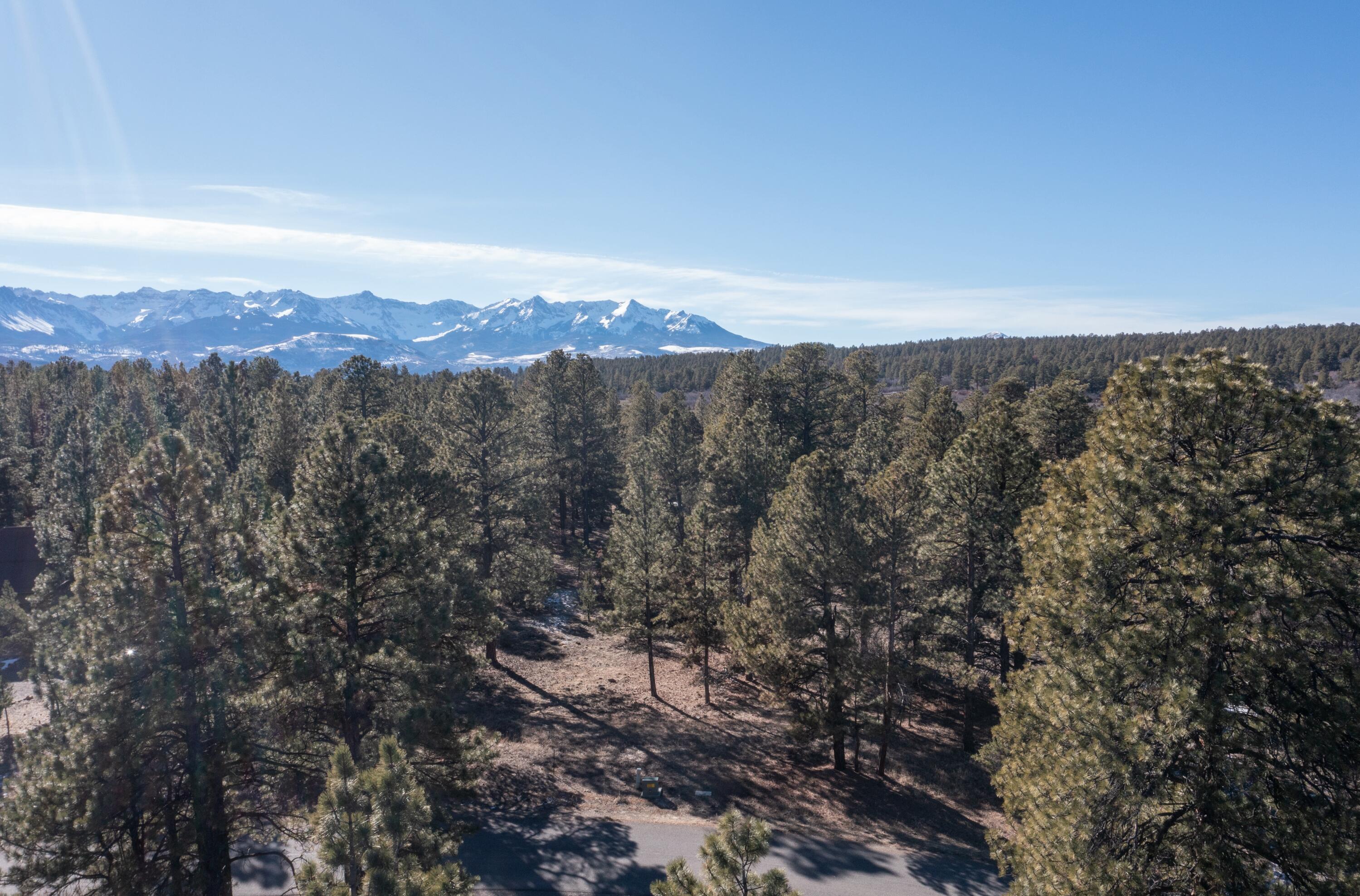 TBD S Badger Trail