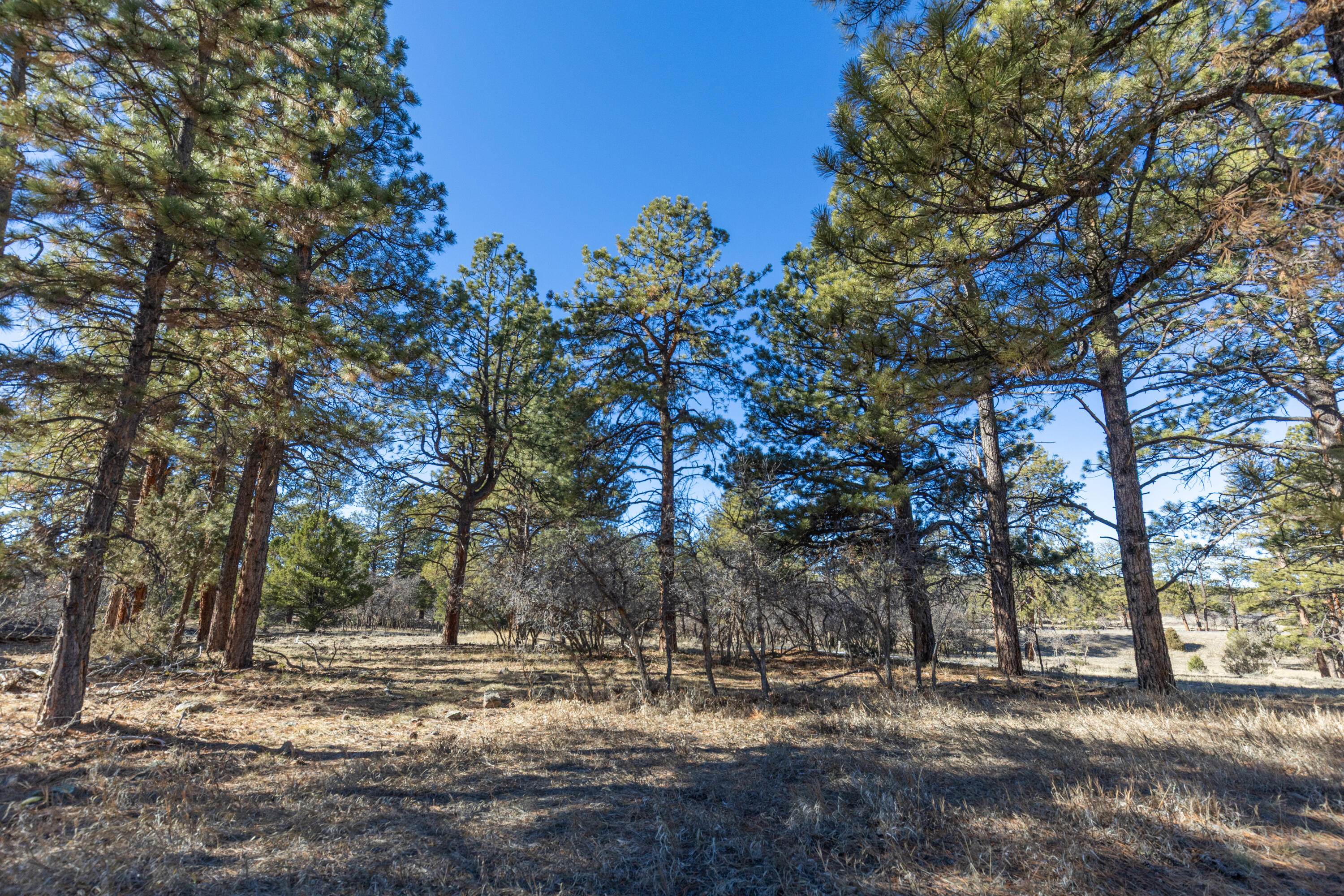 TBD S Badger Trail