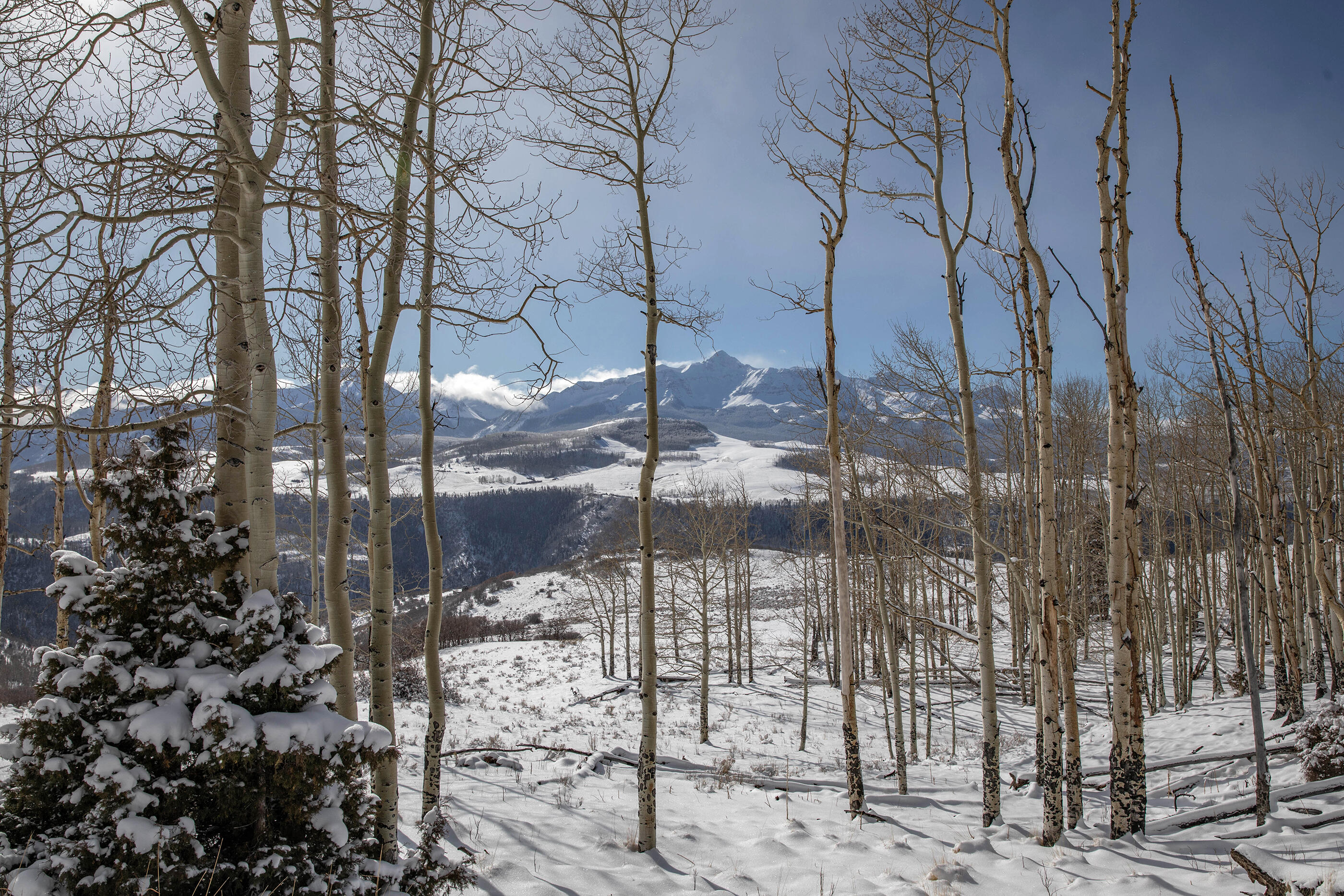 300 Whipple Way