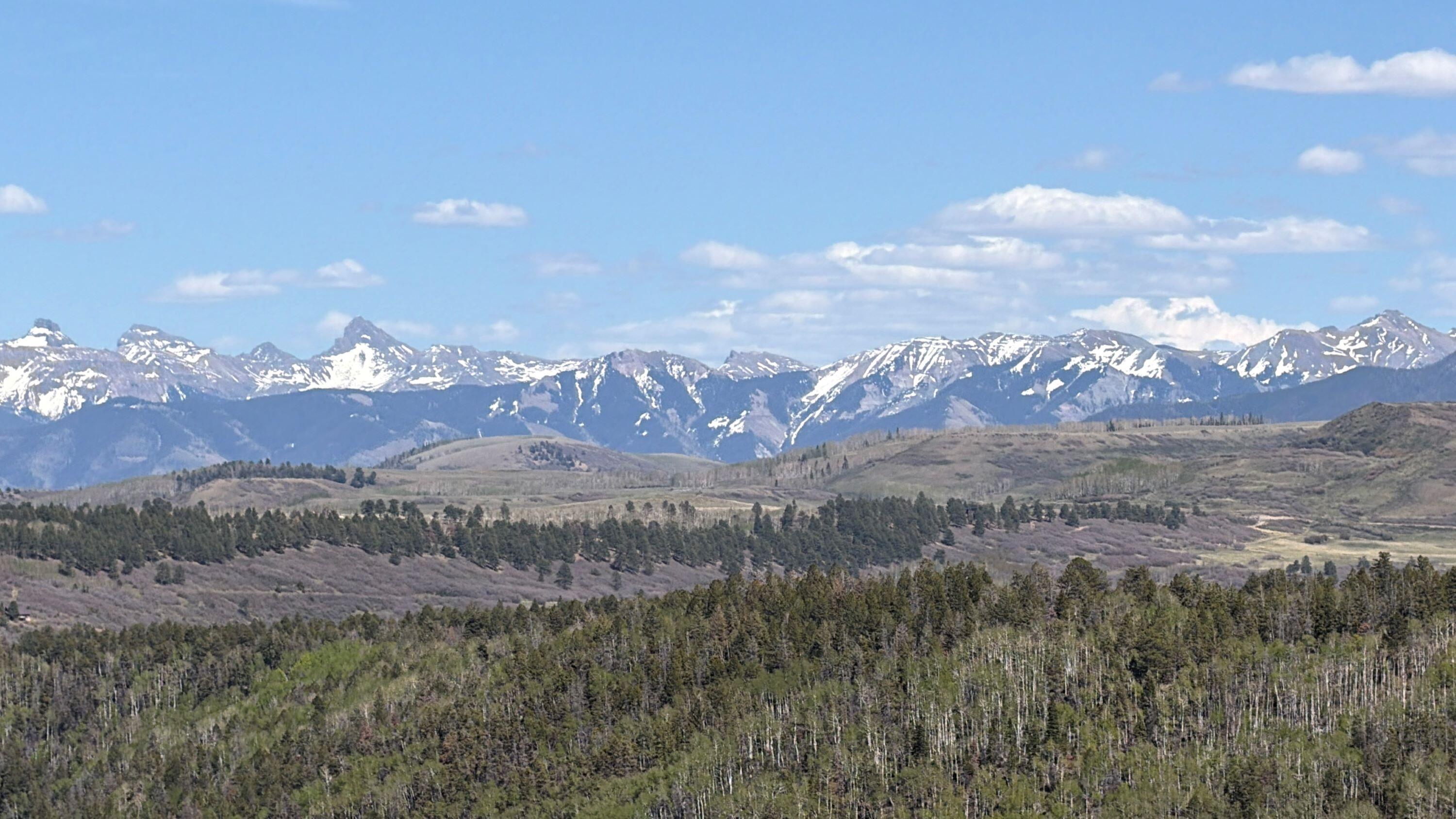 TBD Sage Grouse South