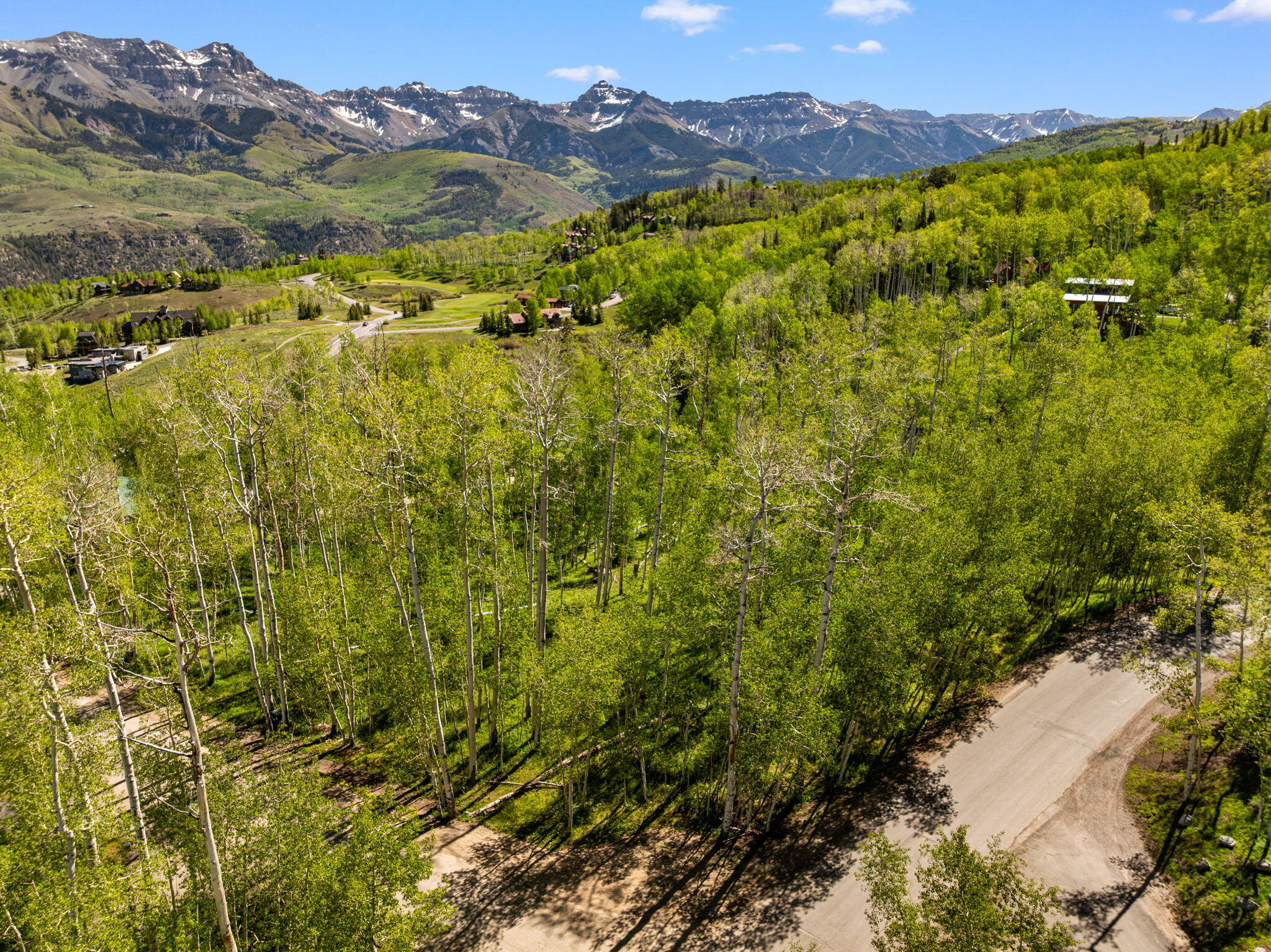 TBD Wapiti