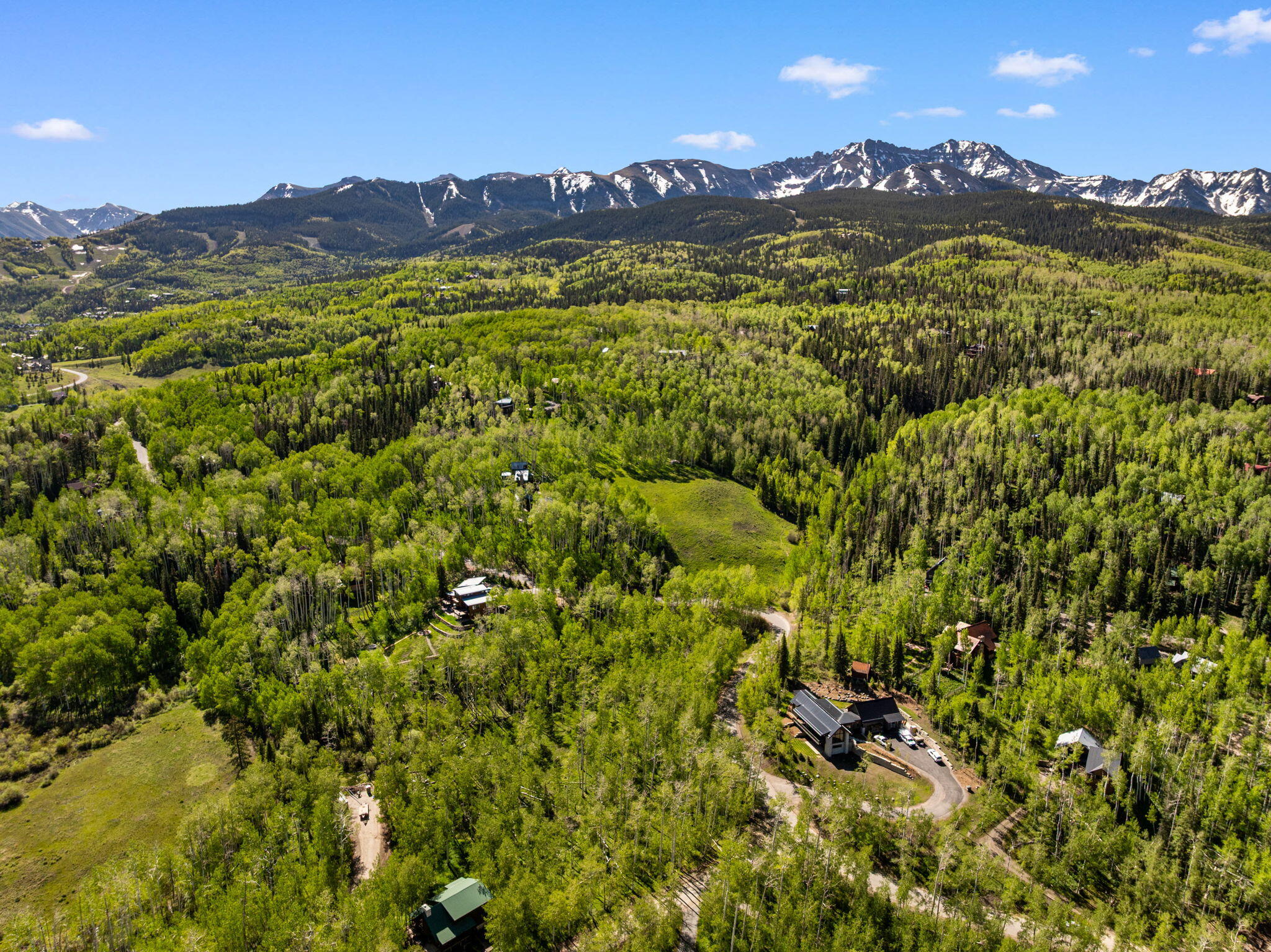 TBD Wapiti
