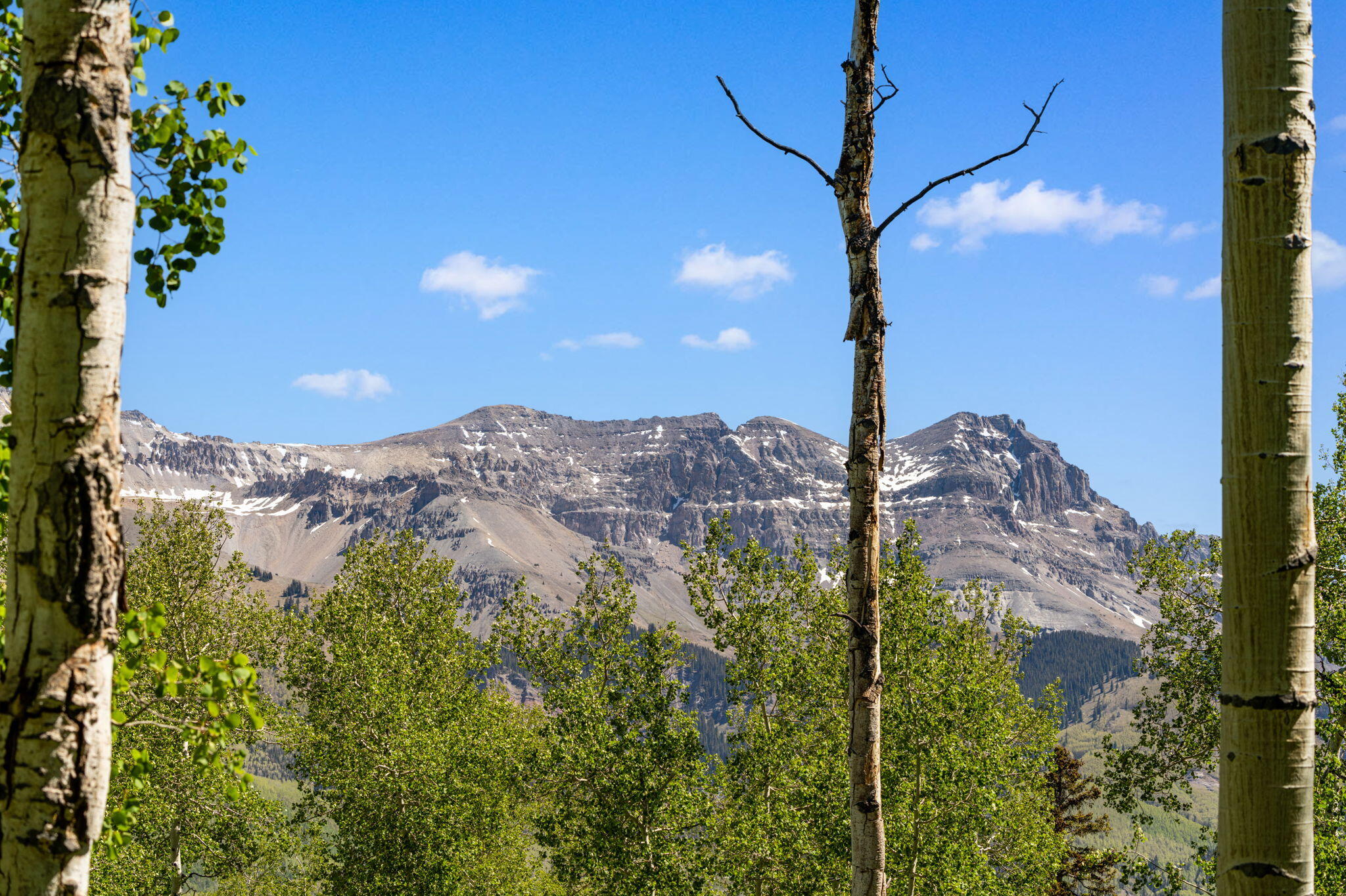 TBD Wapiti