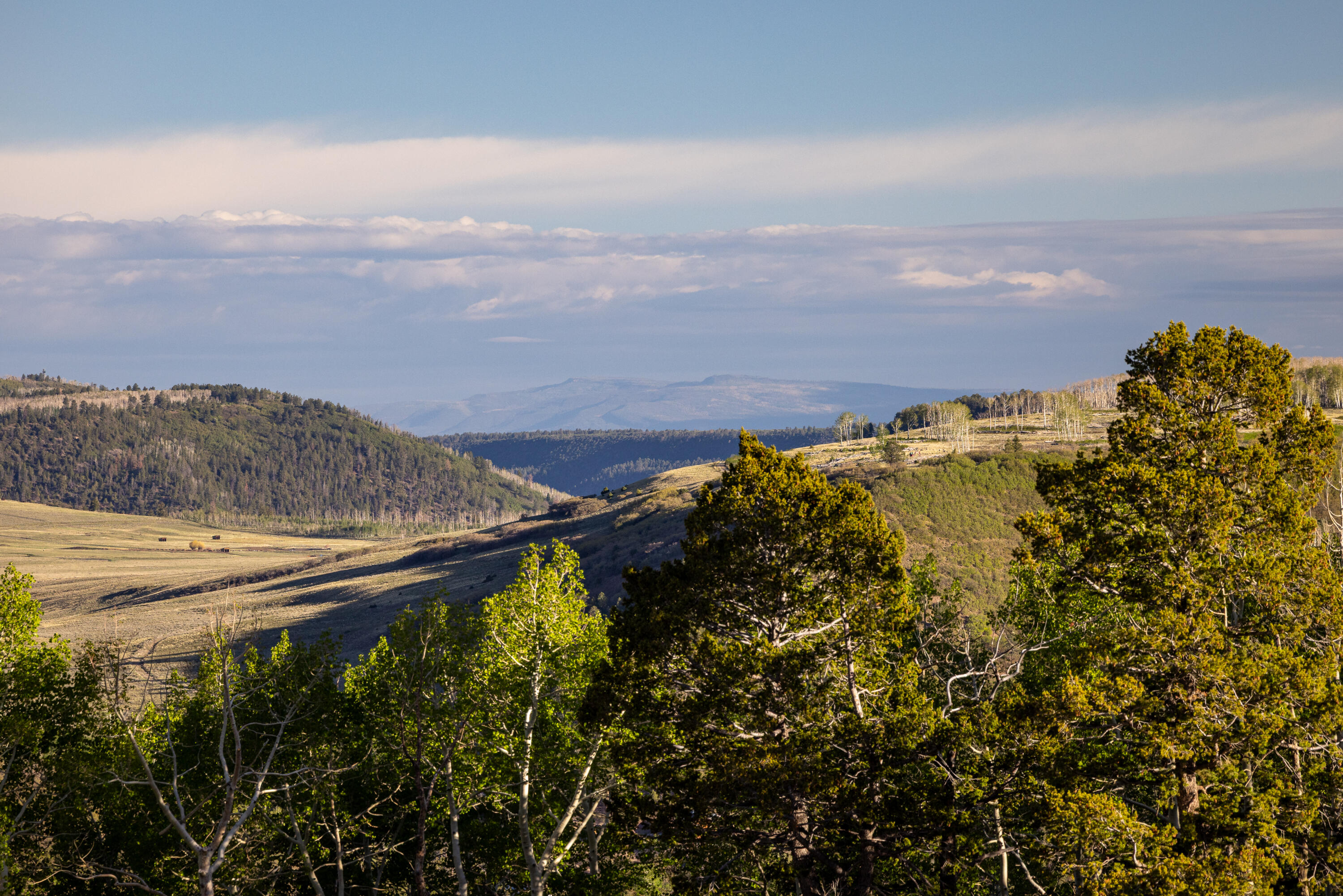 TBD East Wilson Mesa 60M
