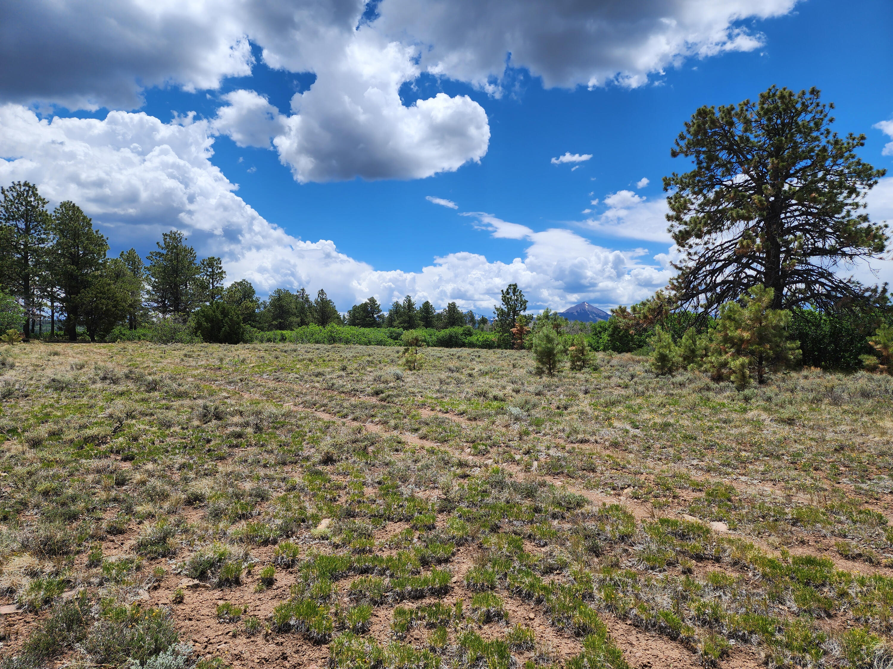 TBD Canyon Rim Loop