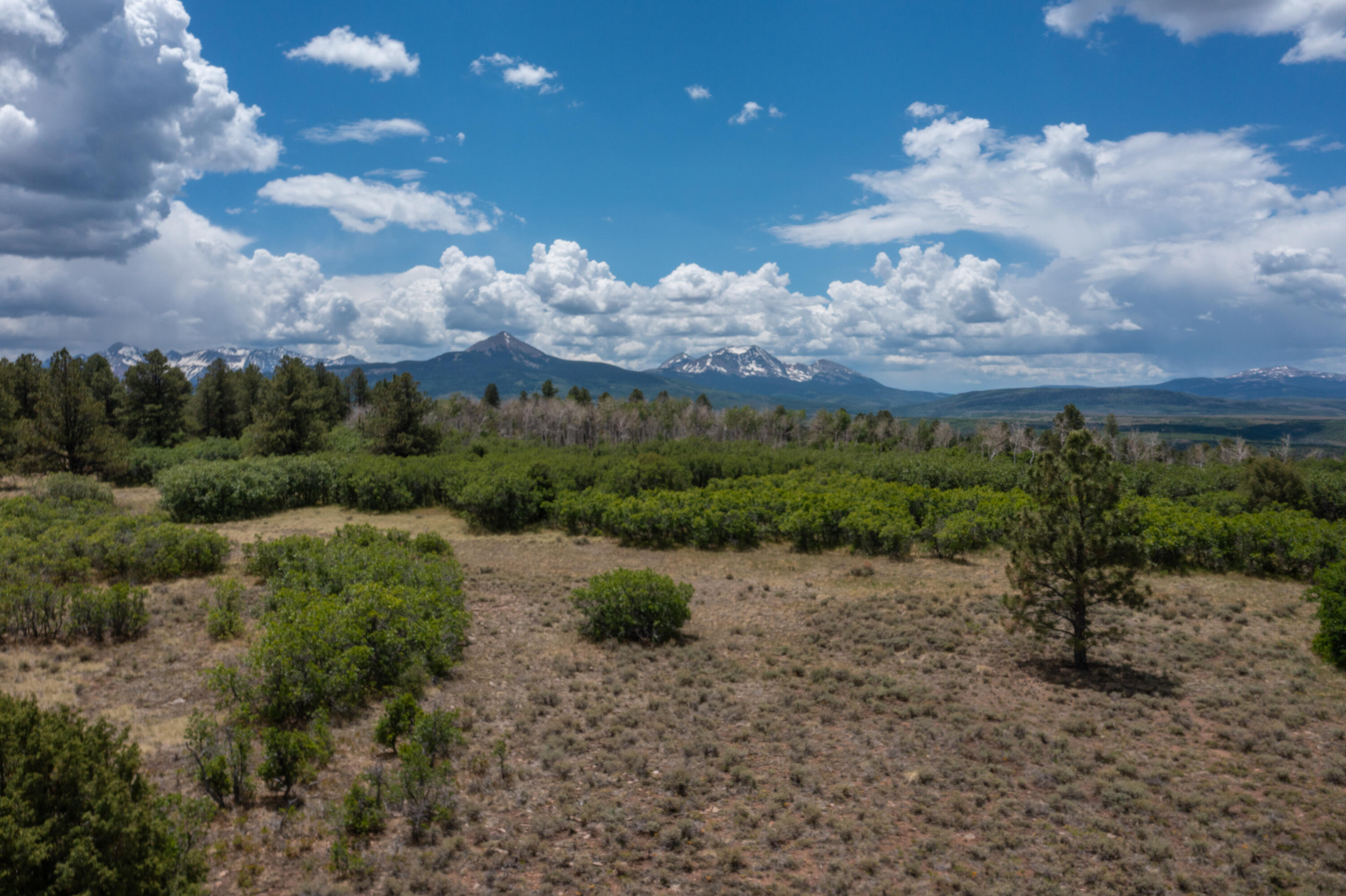 TBD Canyon Rim Loop