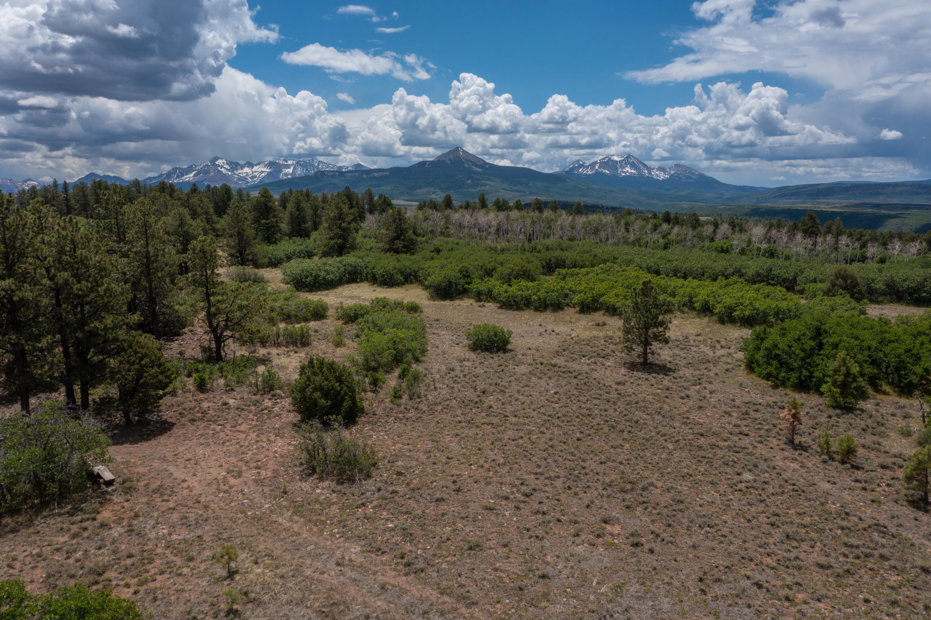 TBD Canyon Rim Loop