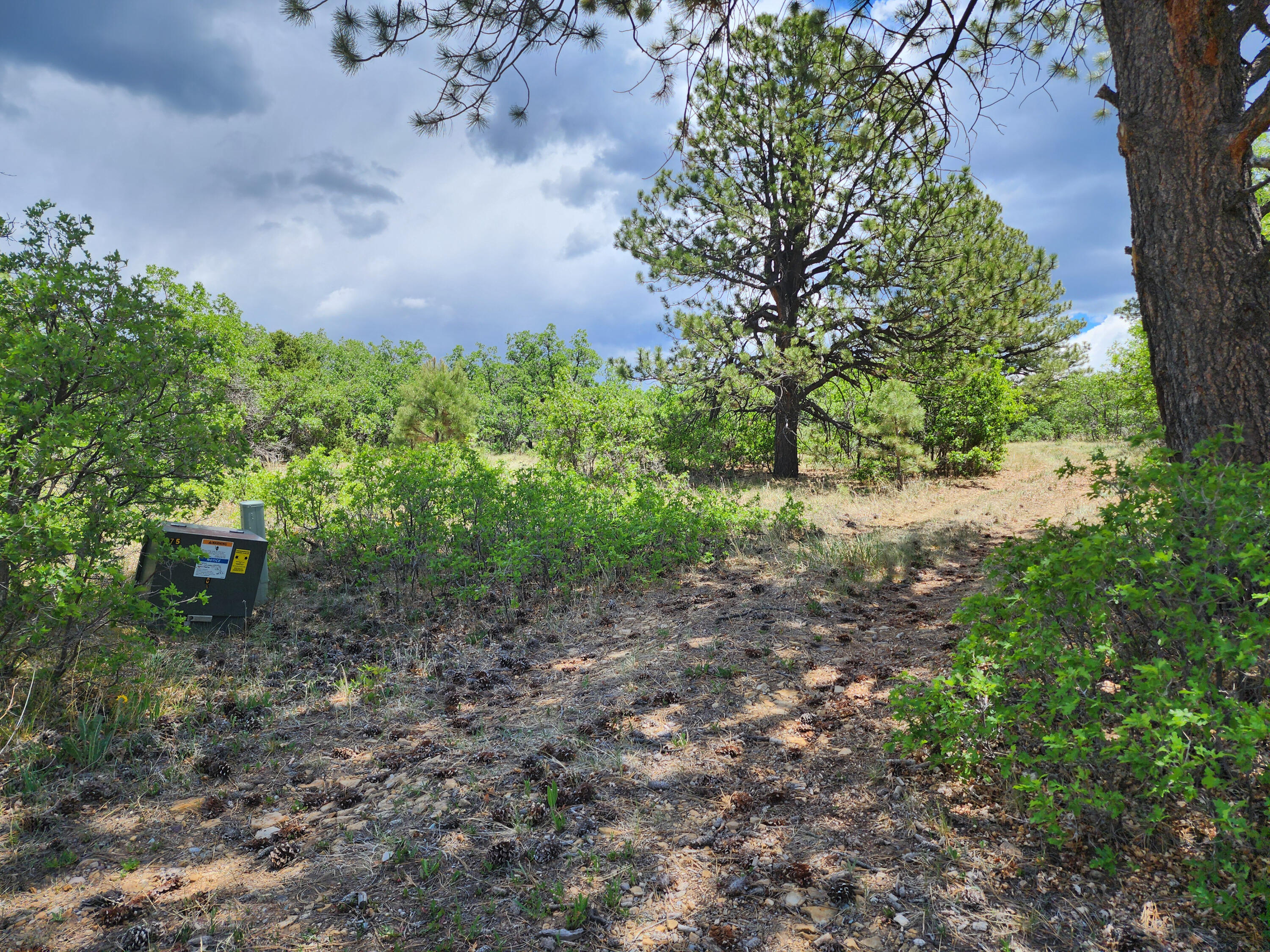 TBD Canyon Rim Loop