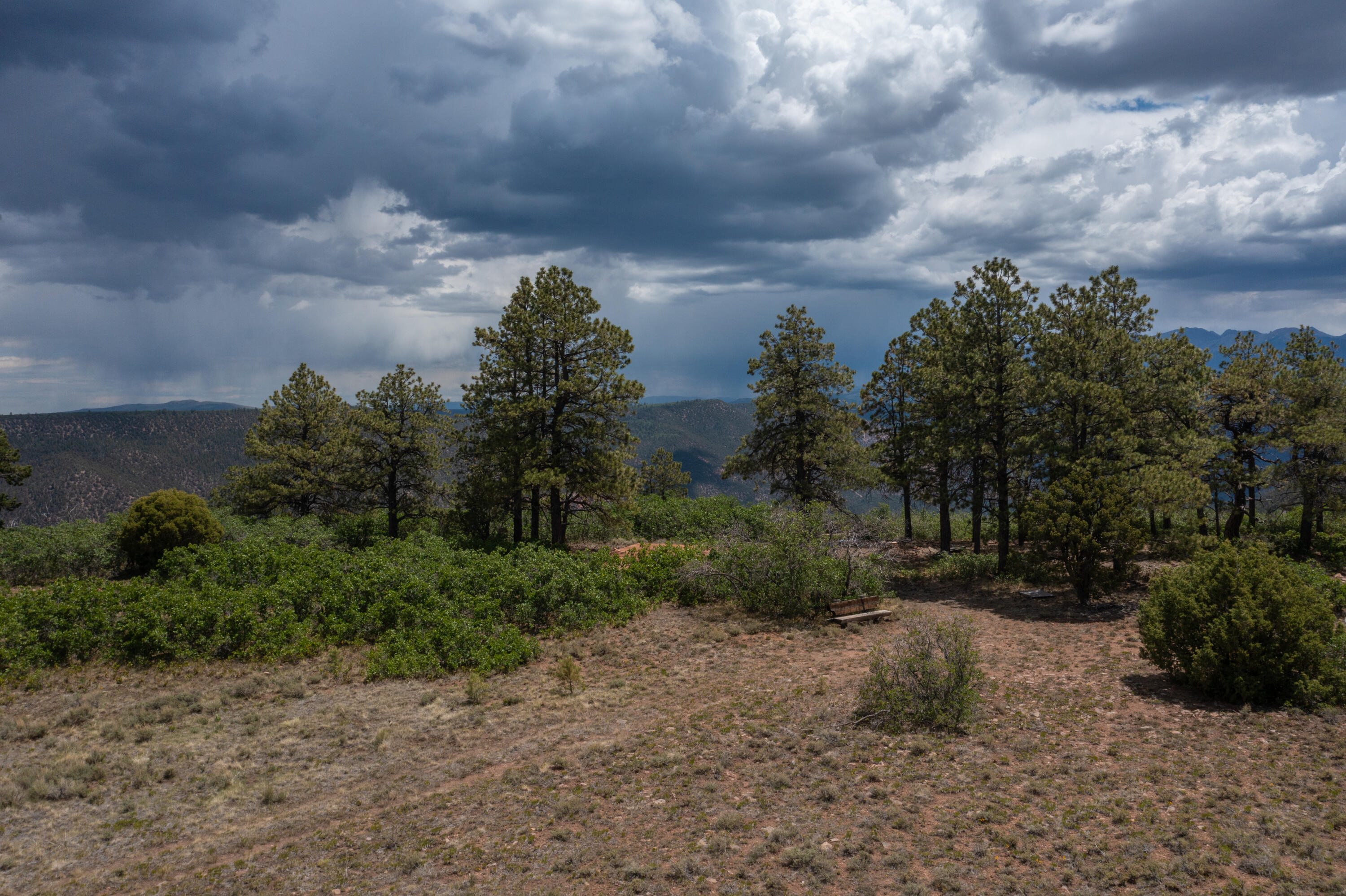 TBD Canyon Rim Loop