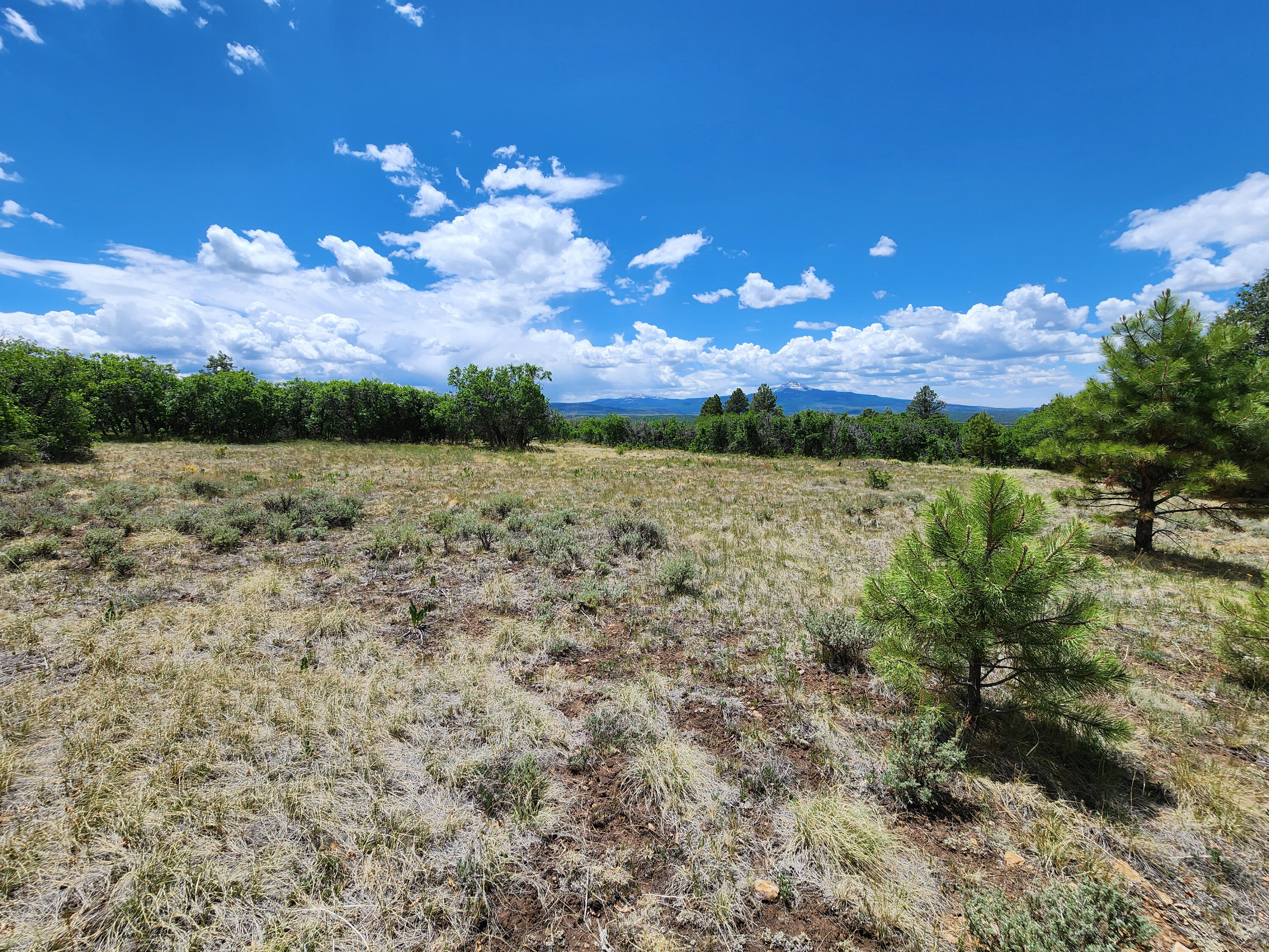 TBD Canyon Rim Loop