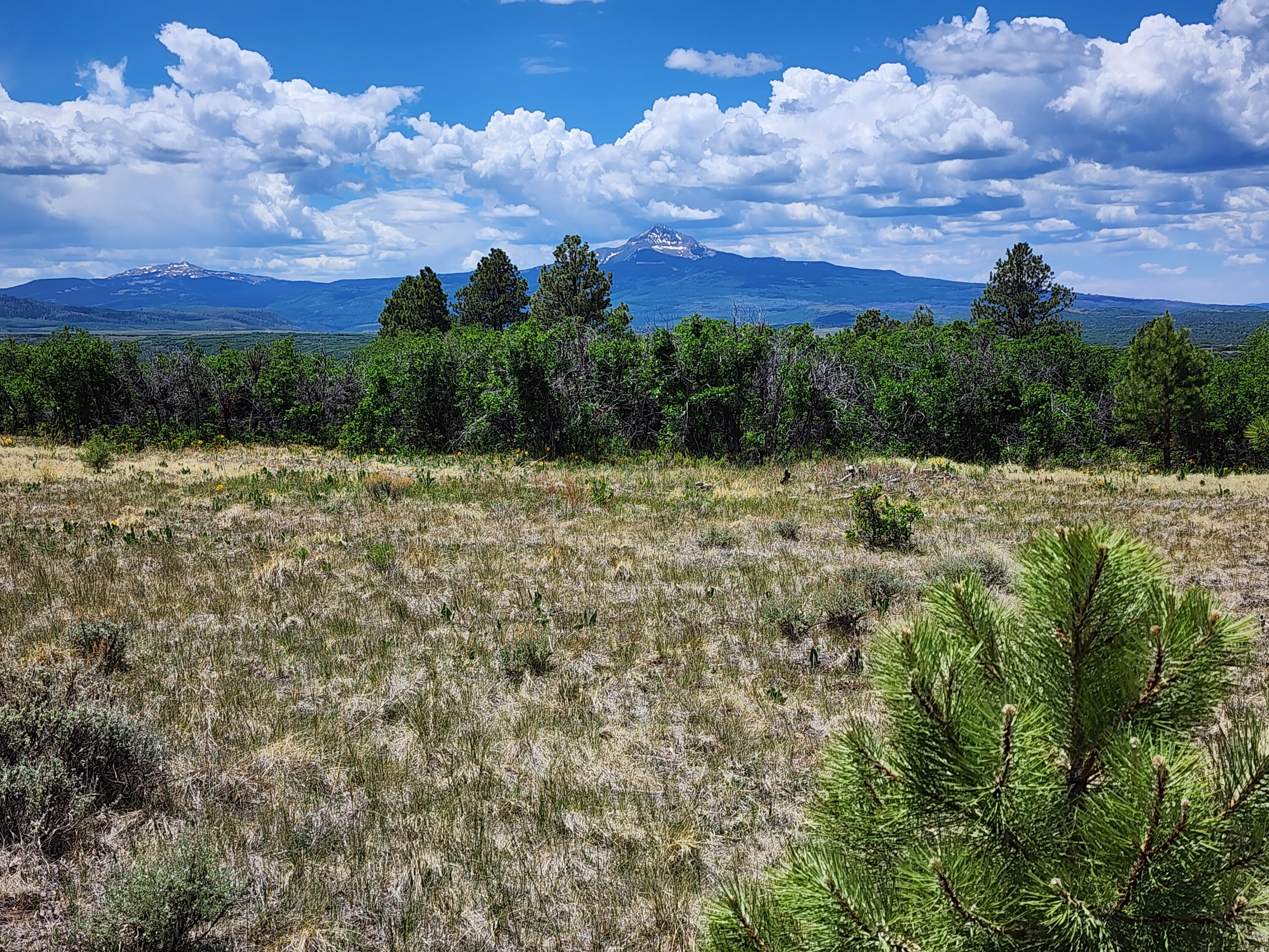 TBD Canyon Rim Loop