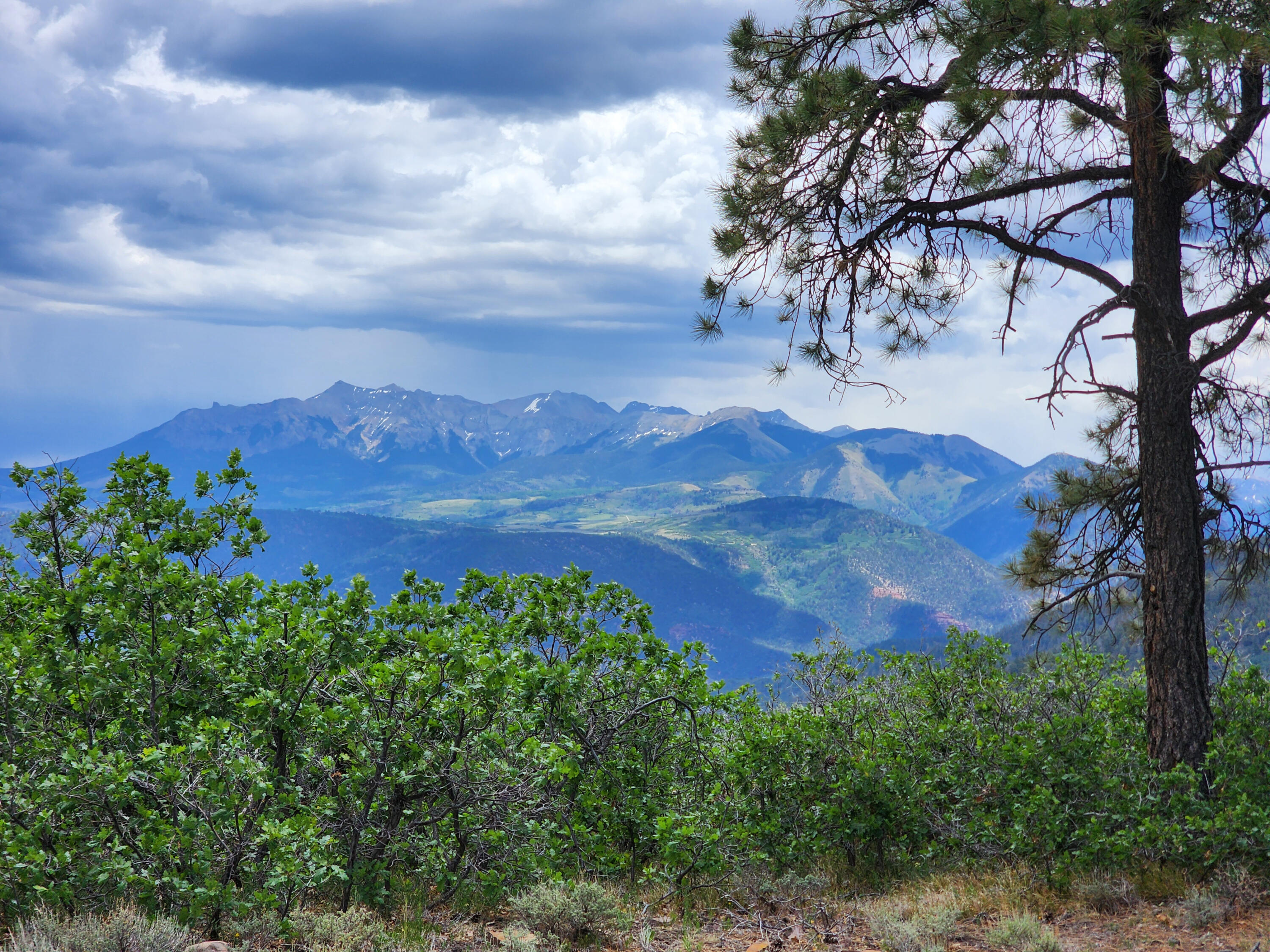 TBD Canyon Rim Loop